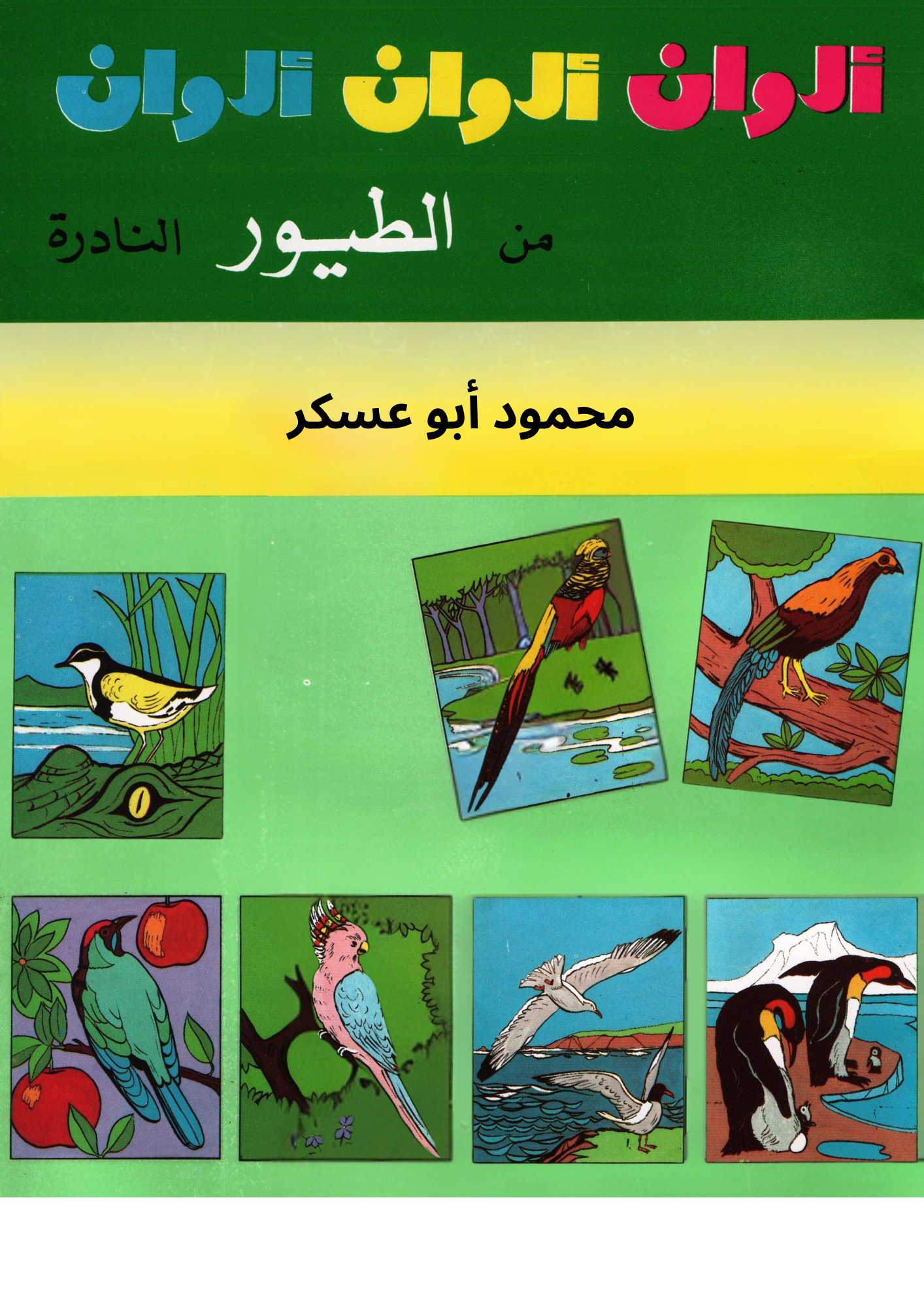 ألوان من الطيور النادرة – كتاب تلوين للأطفال - Colors of Rare Birds – Children’s Coloring Book