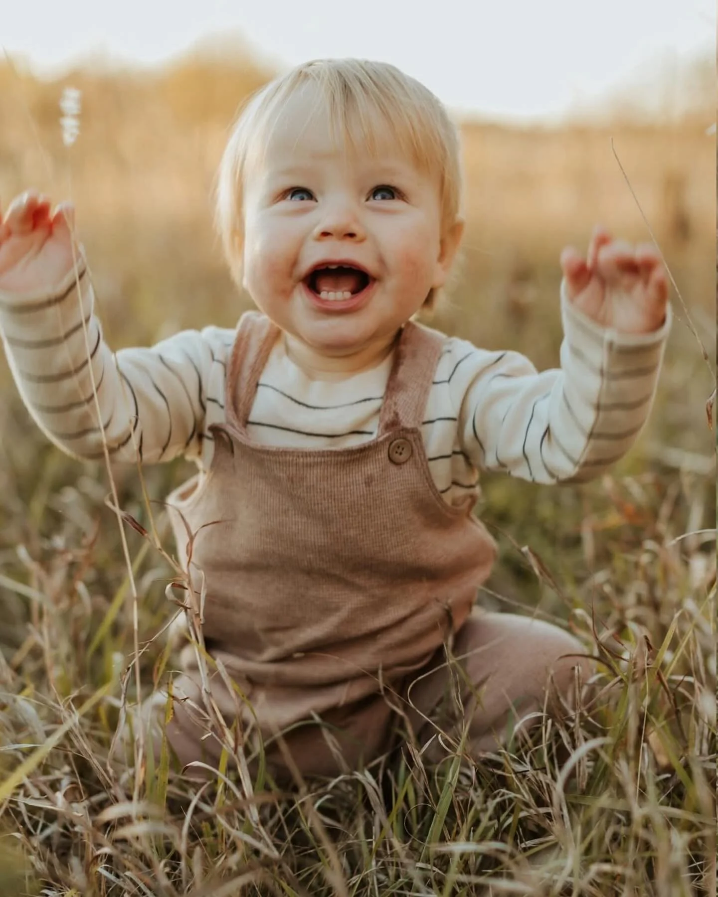 Somehow we managed to find the most perfect Fall evening to grab their family photos 🤍