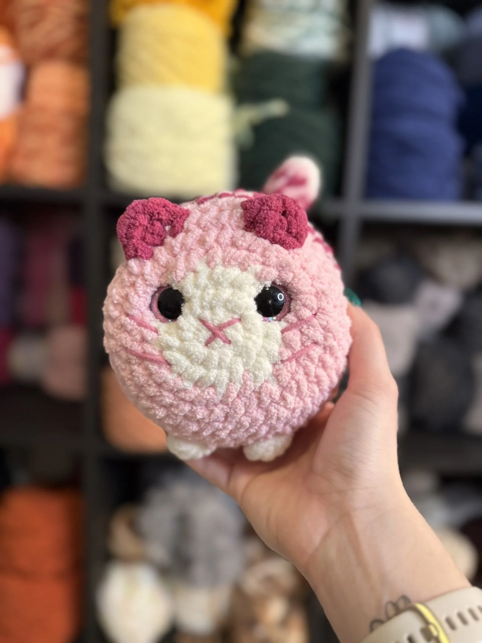 IMG_2263.JPEG (Copy)