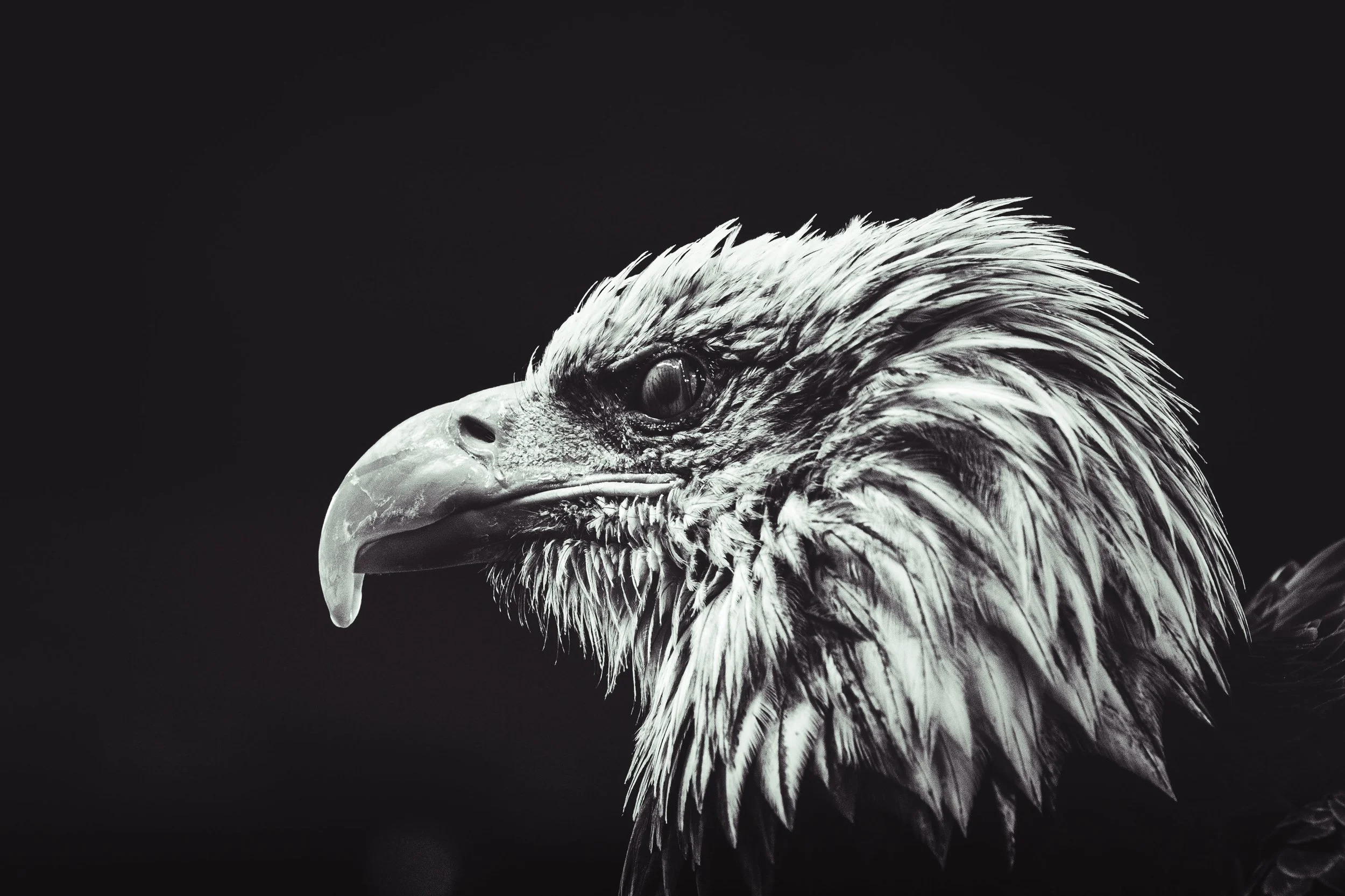 Nice - Braga (@antoninvzt_photo)-2.jpg