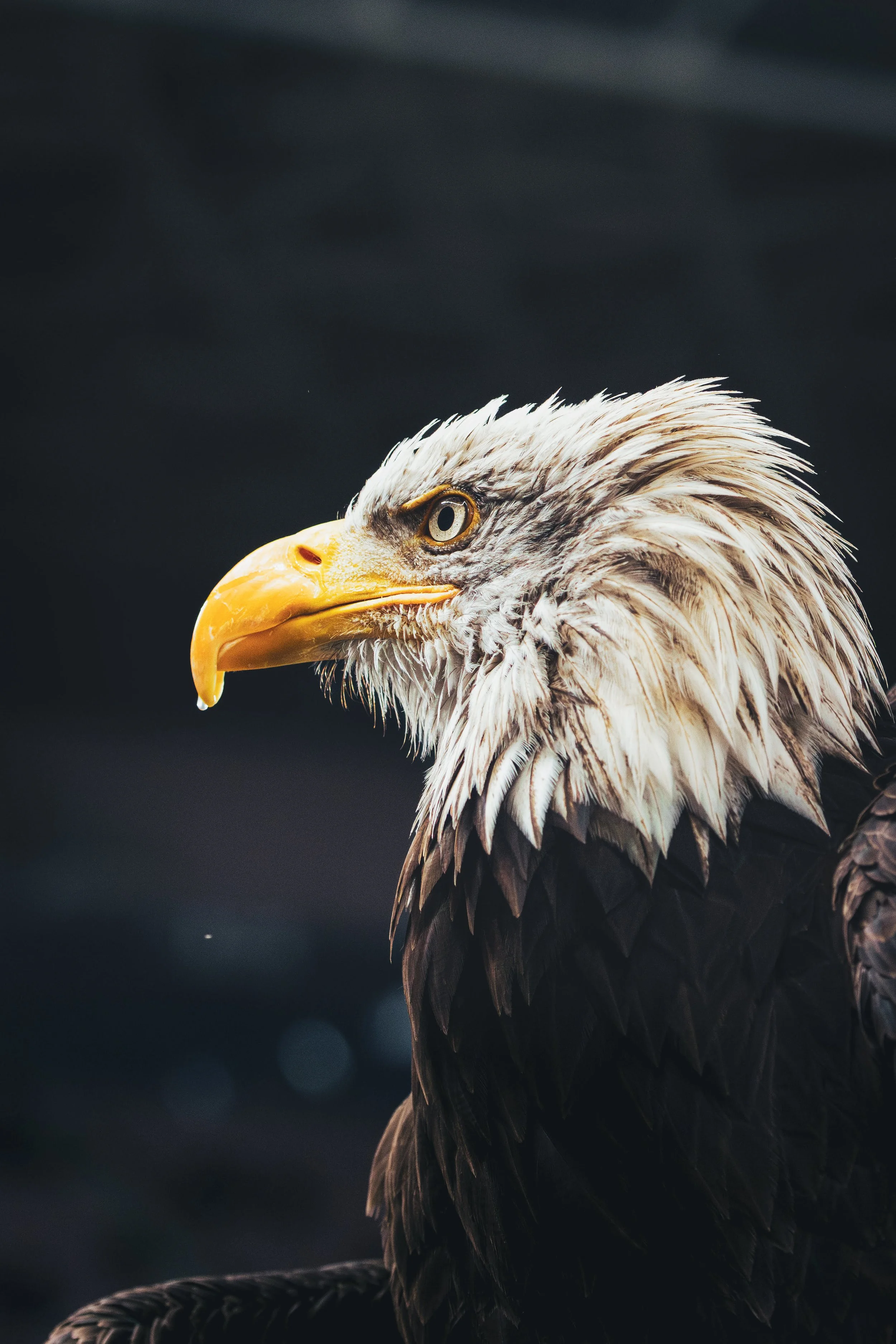 Nice - Braga (@antoninvzt_photo).jpg