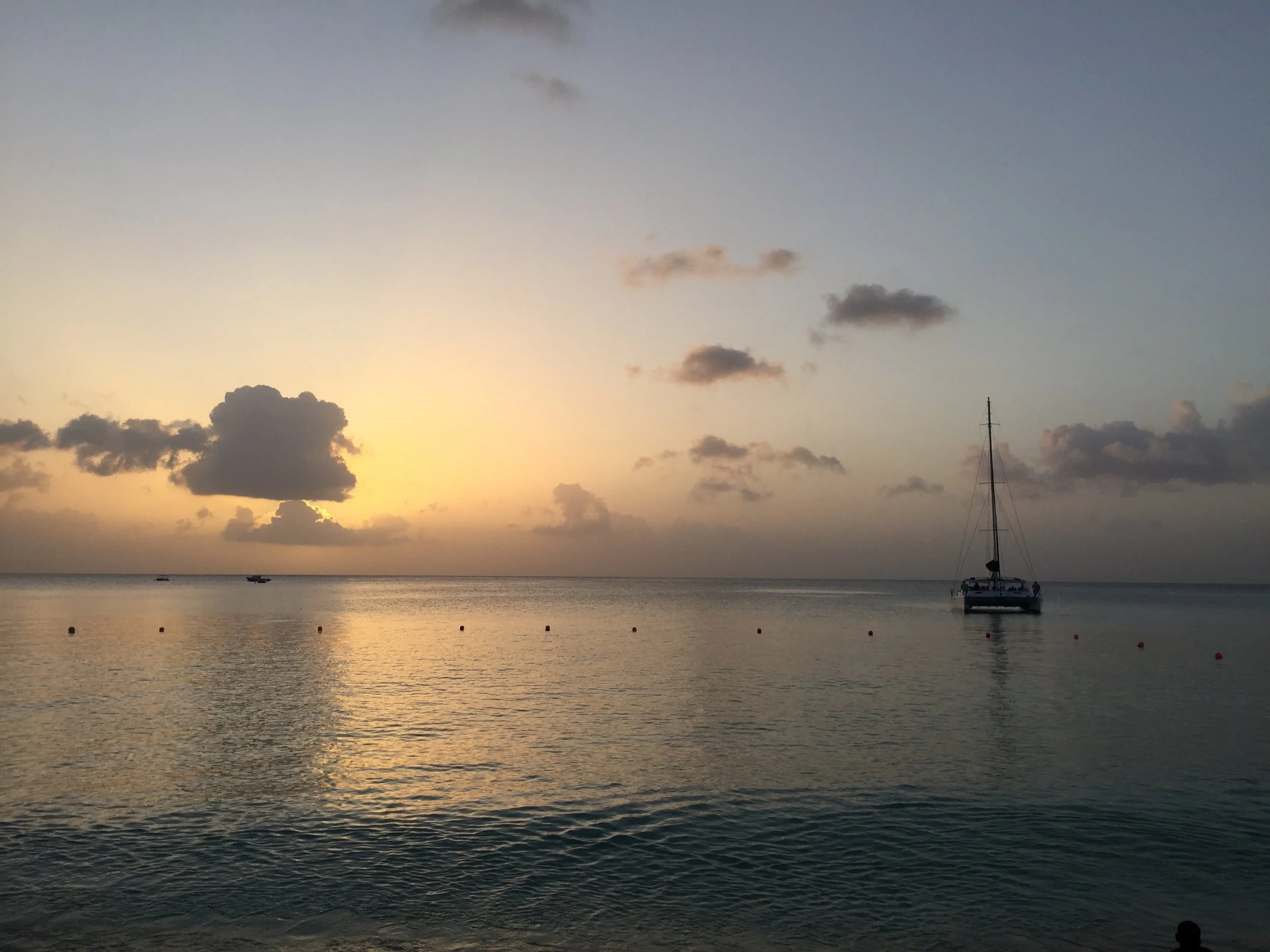 IMG_5297.JPG