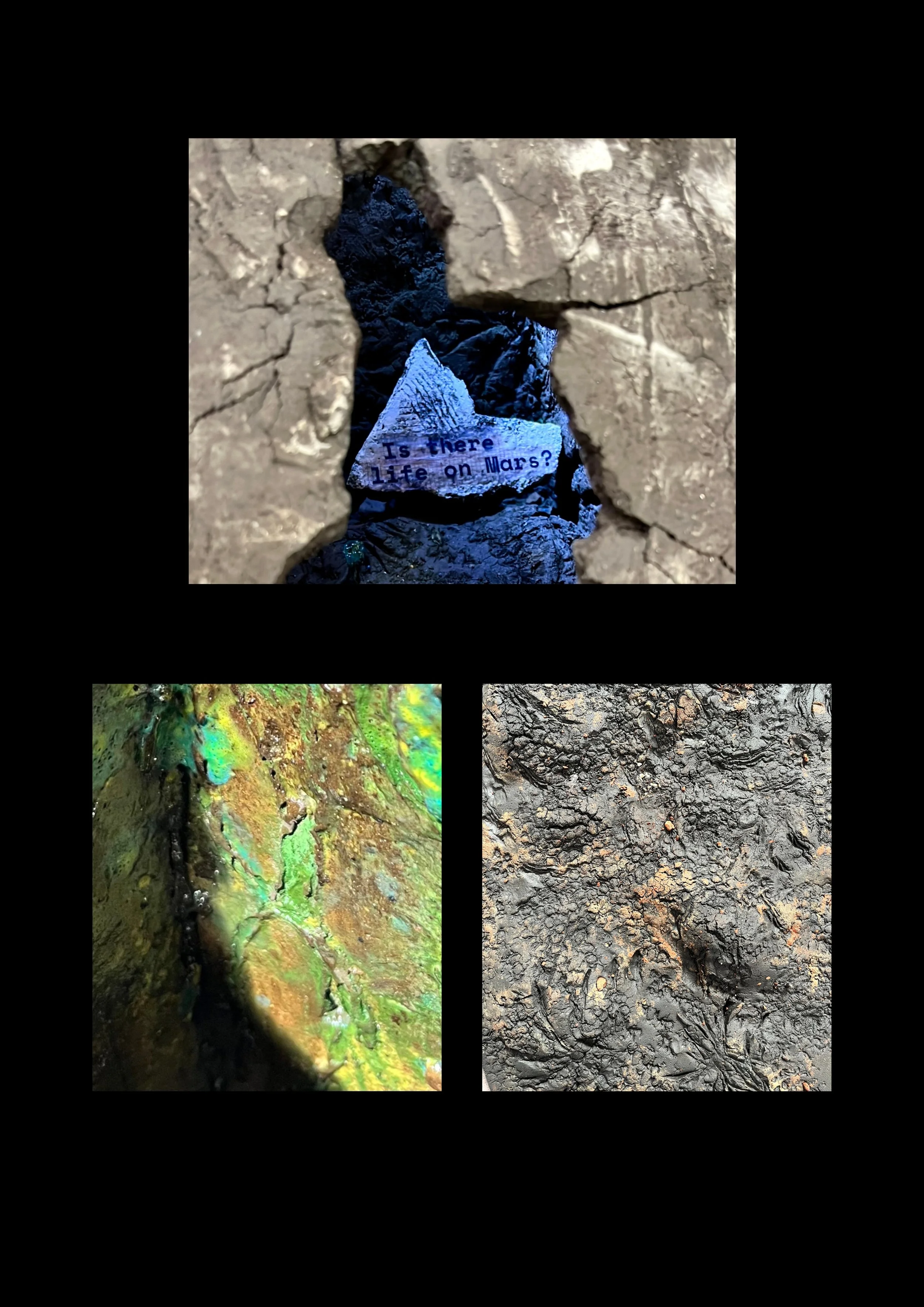 Ziggy - Stardust to Lush Sprouts - details