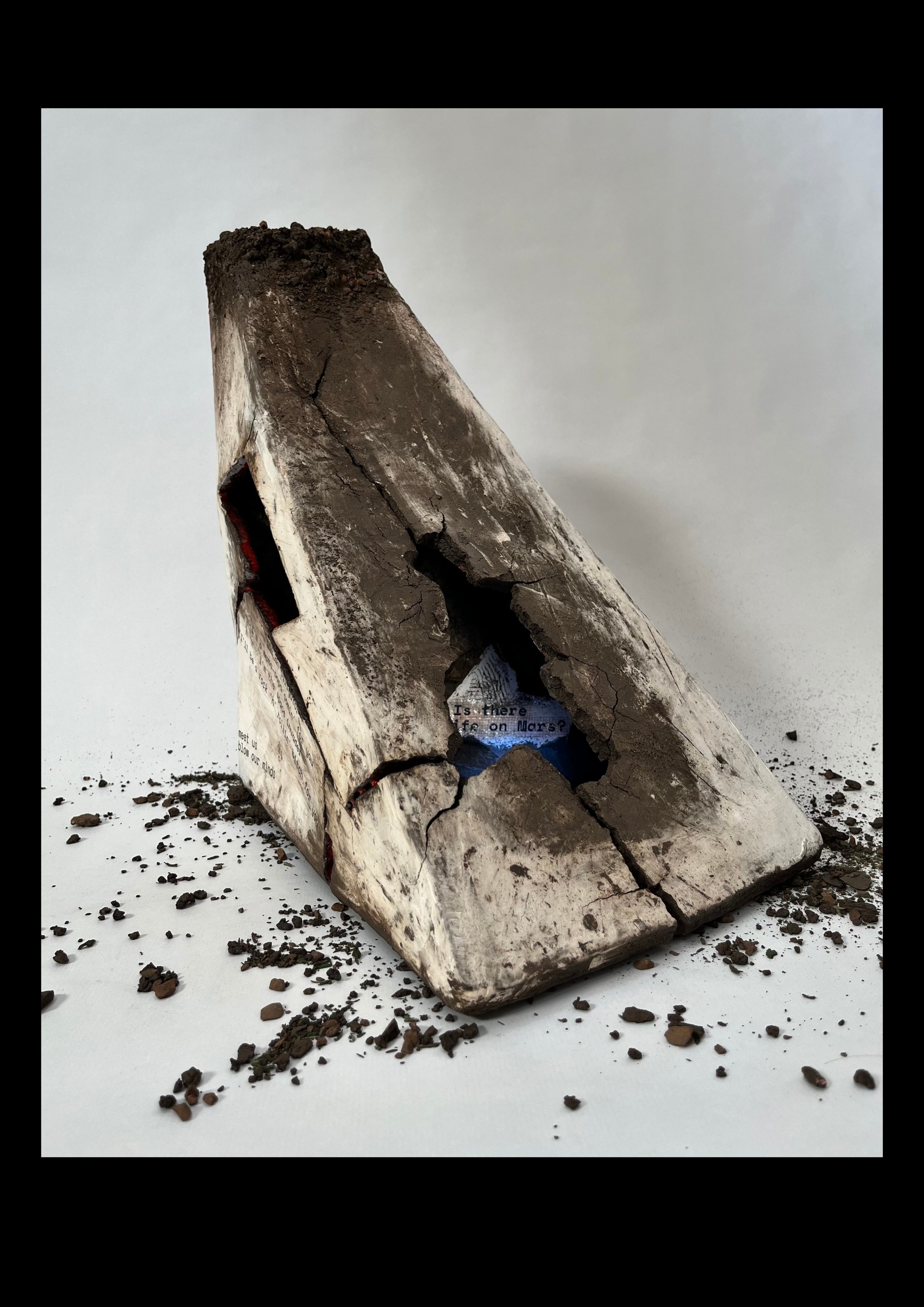 Ziggy - Stardust to Lush Sprouts