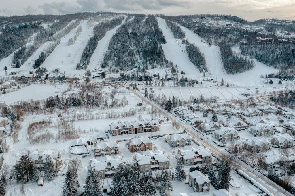 getimageonline (16).jpeg