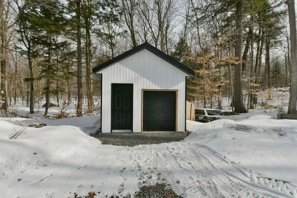 getimageonline (25).jpeg