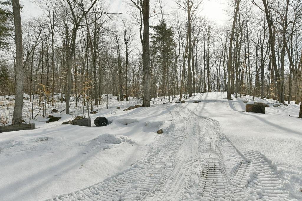 getimageonline (26).jpeg