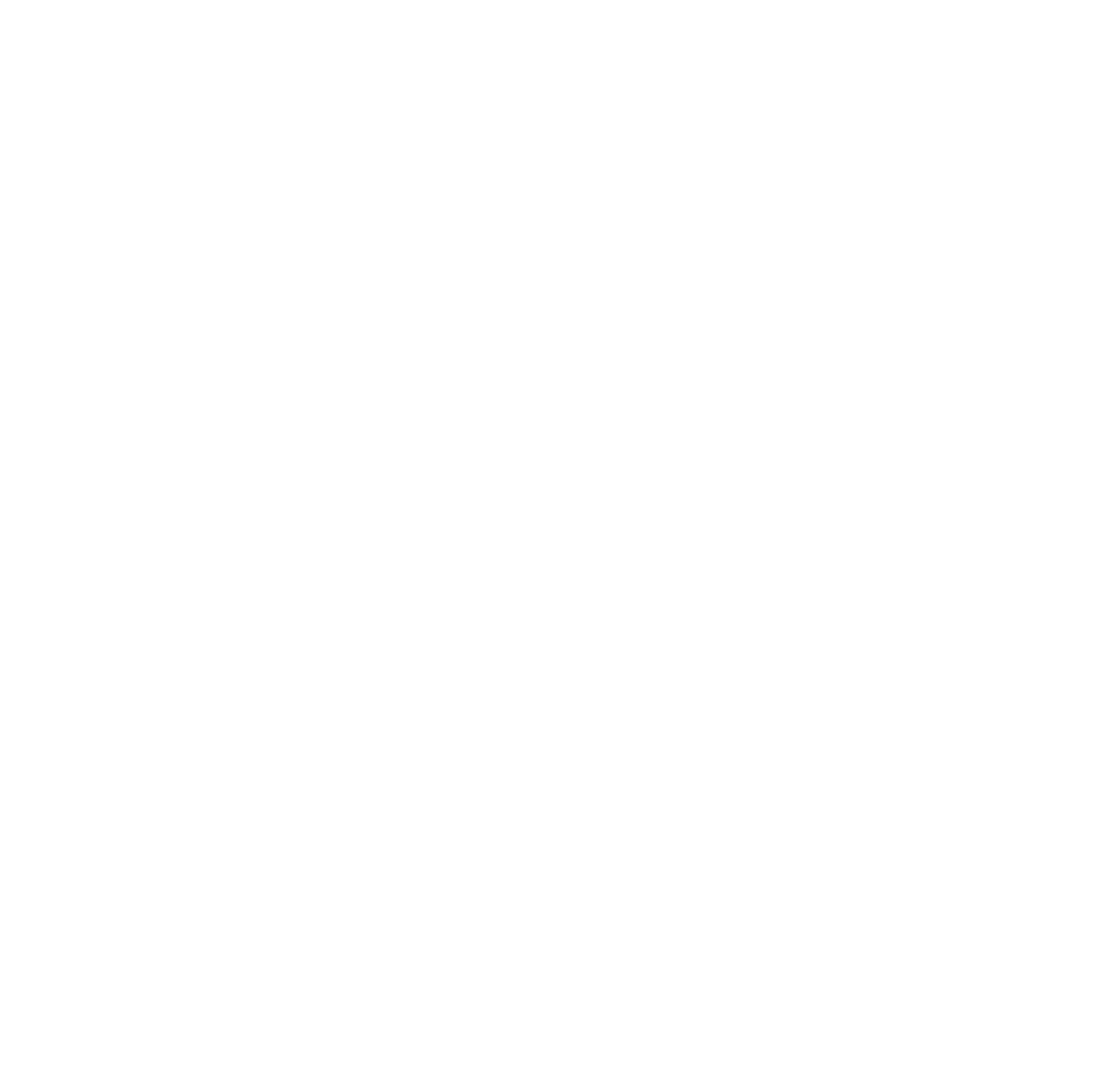 The image appears blank with no discernible objects or details.