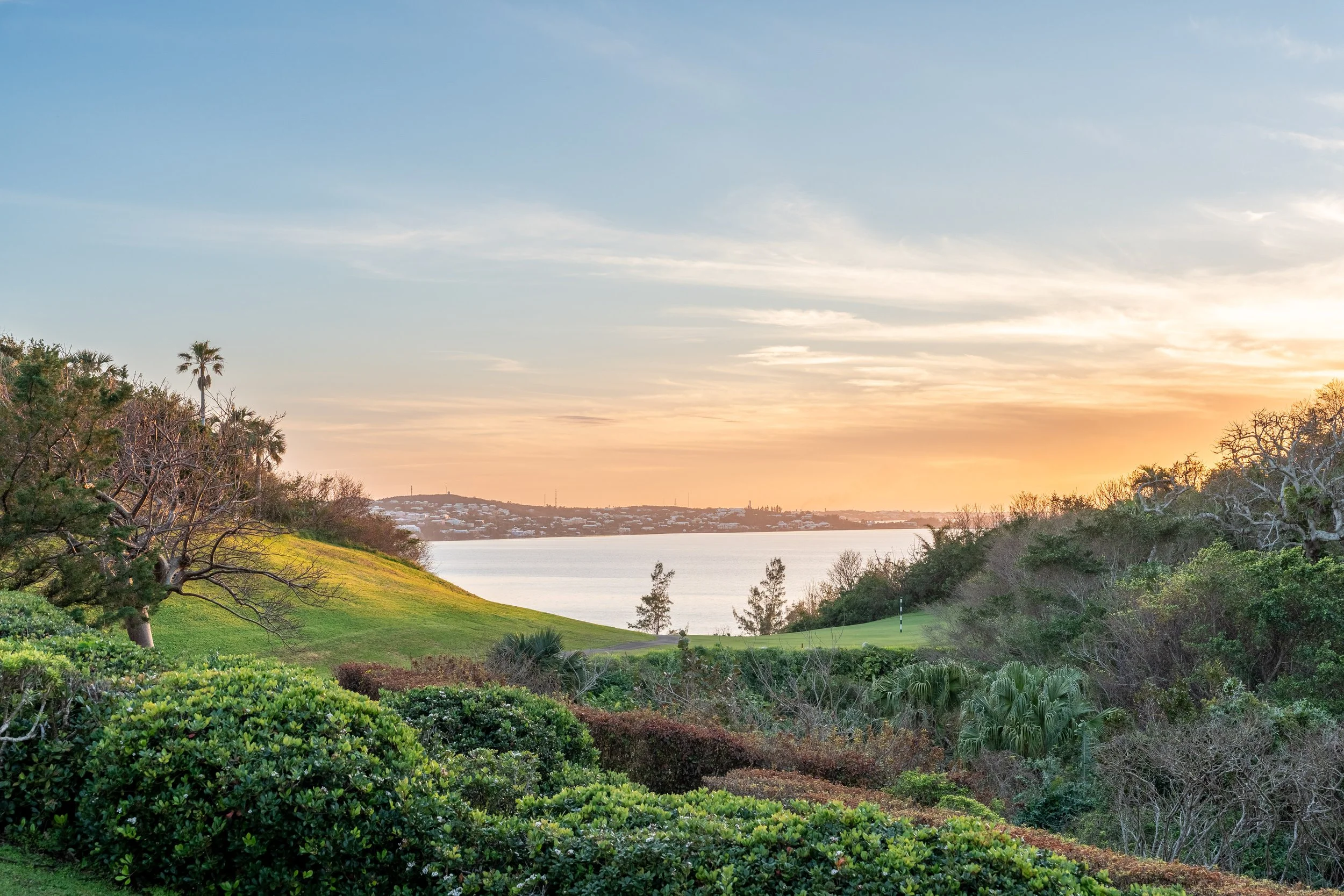 A scenic landscape showing a grassy hill, trees, and a body of water with a cityscape in the background at sunset.