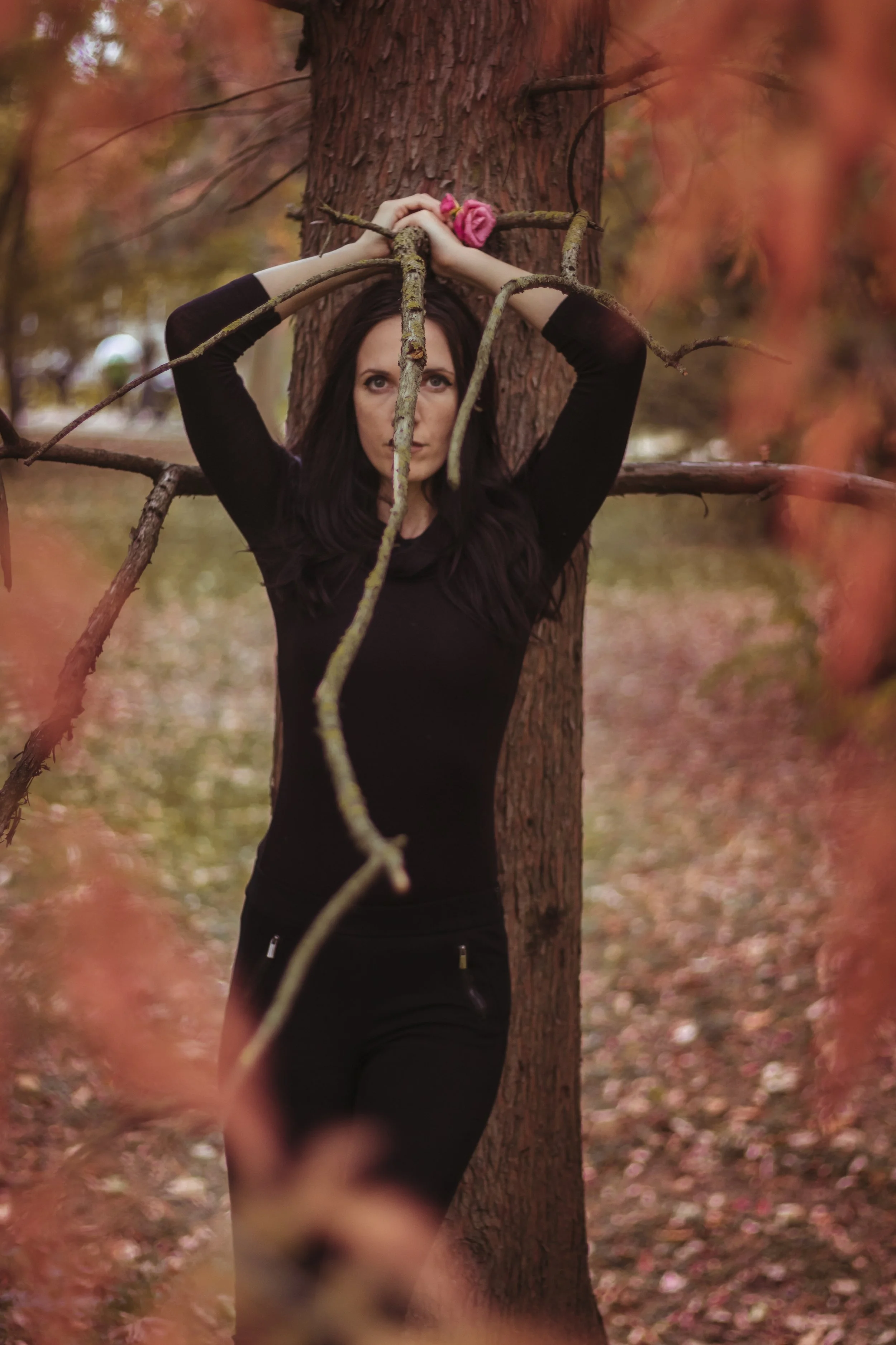 Me tree branch2bttr.jpg