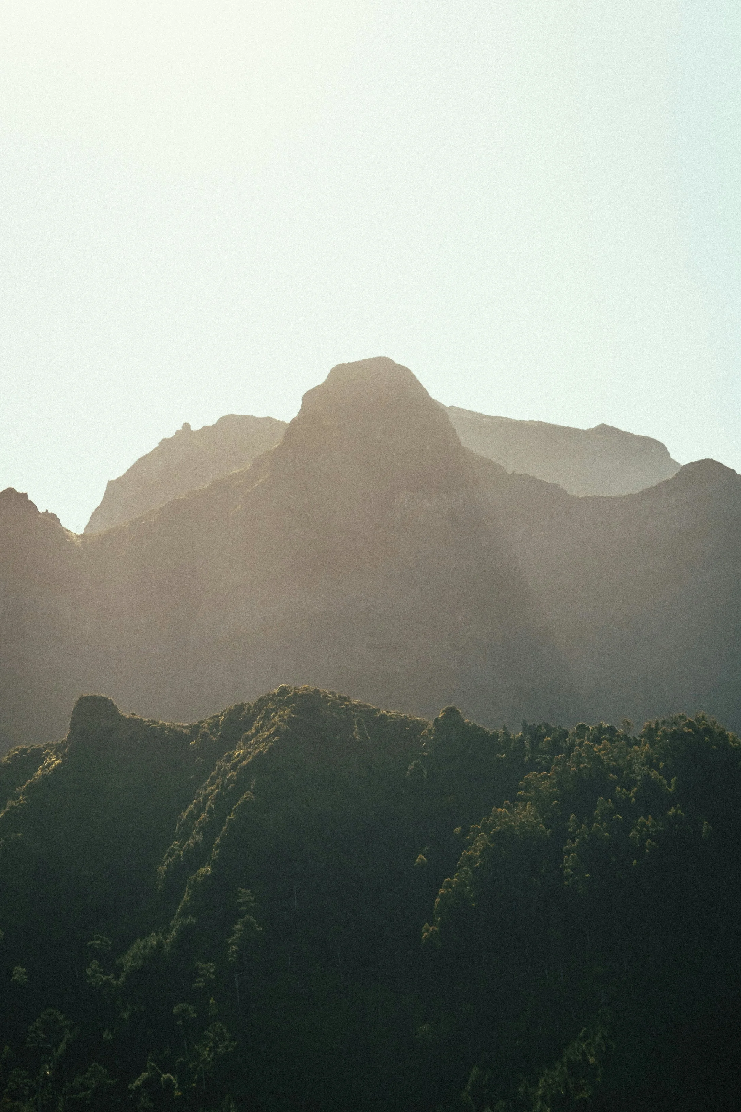 Healing Amidst Injustice &amp; Broken Systems