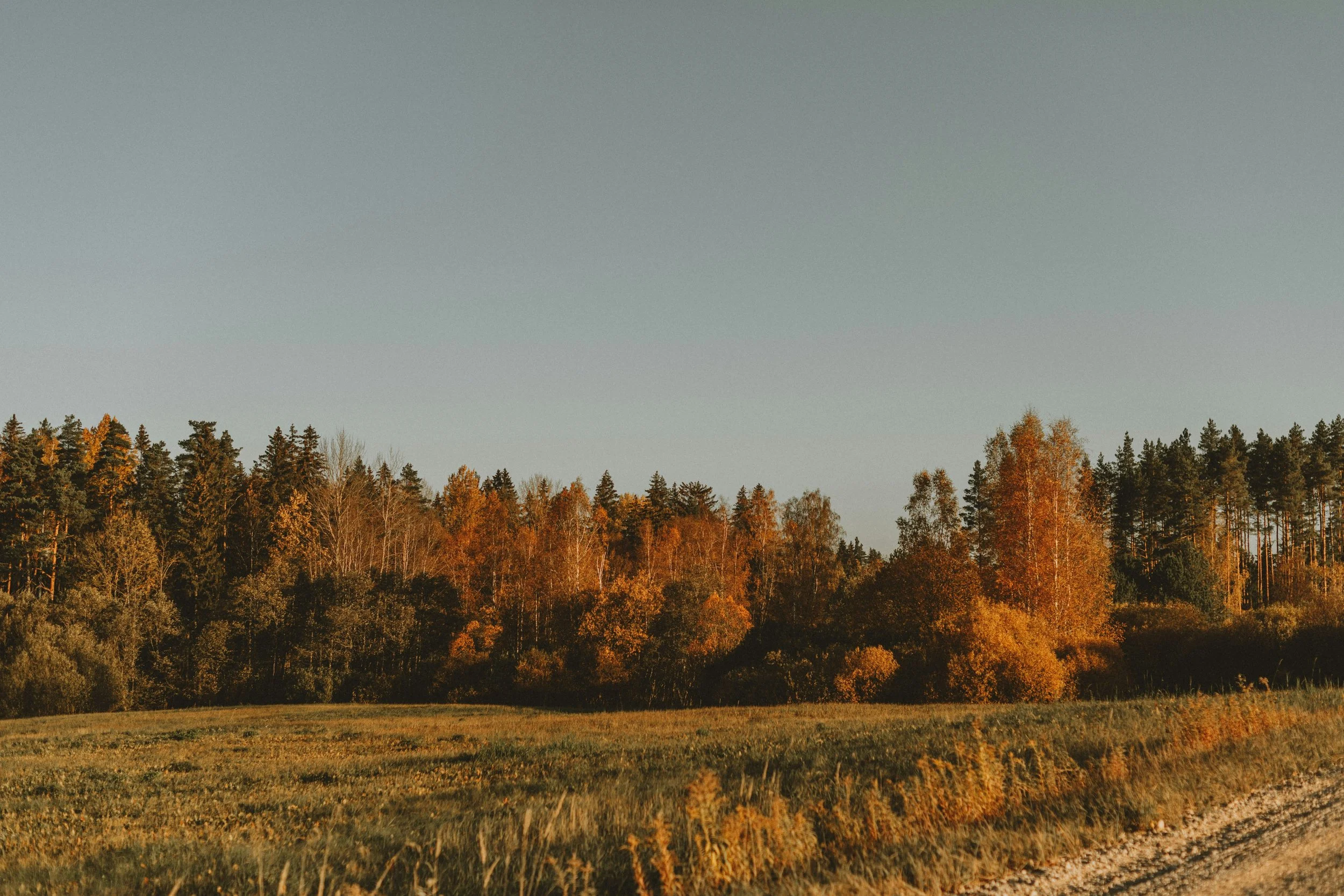 Settling into the Season: Orienting to the Energies of Fall