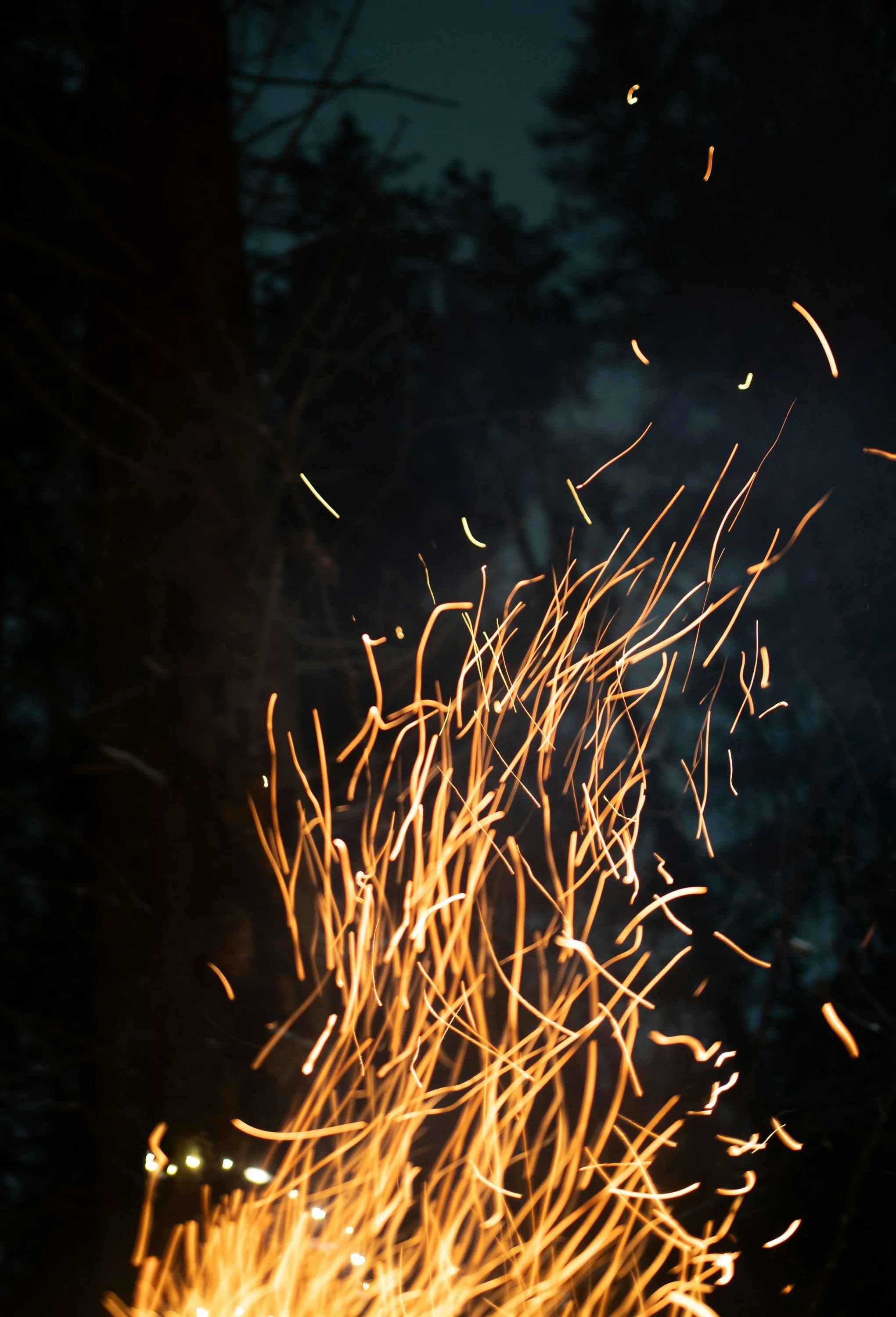 Glowing embers rising from a campfire in a forest at dusk, representing devotion to inner growth, somatic healing, and the transformative nature of personal work.