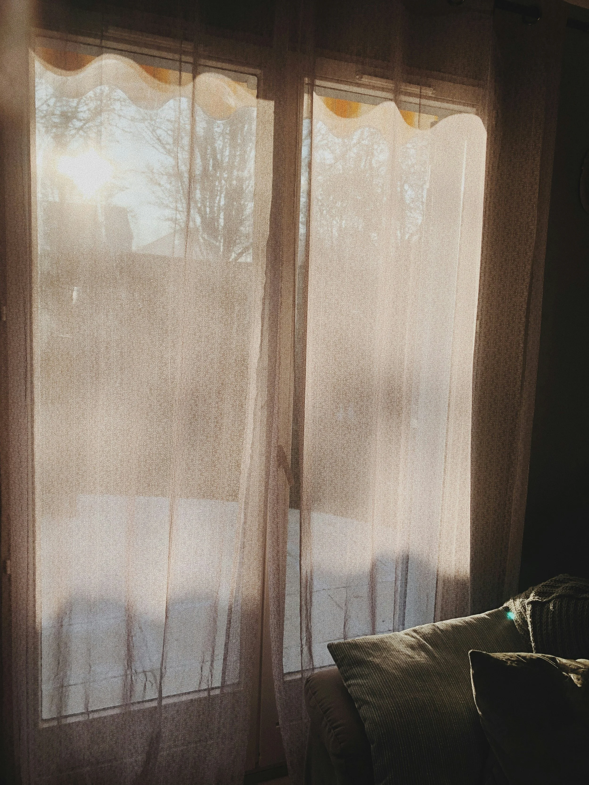 nervous system reset explained by a somatic therapist