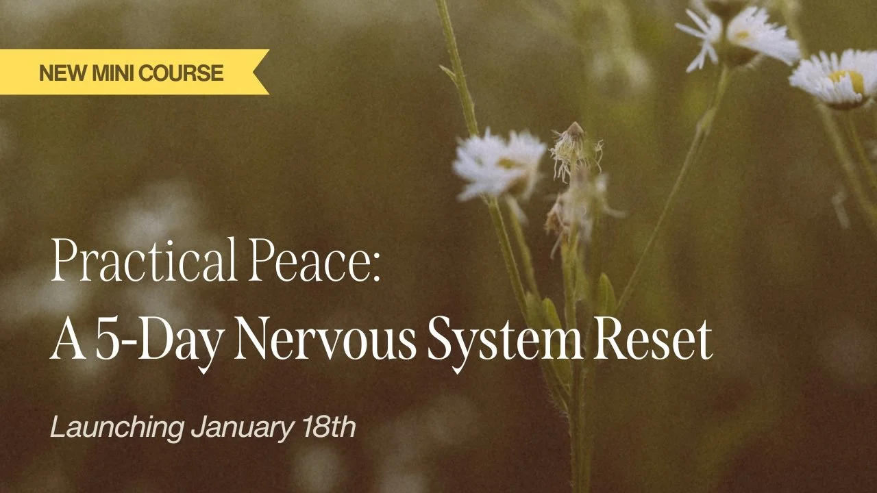 Nervous system regulation mini course