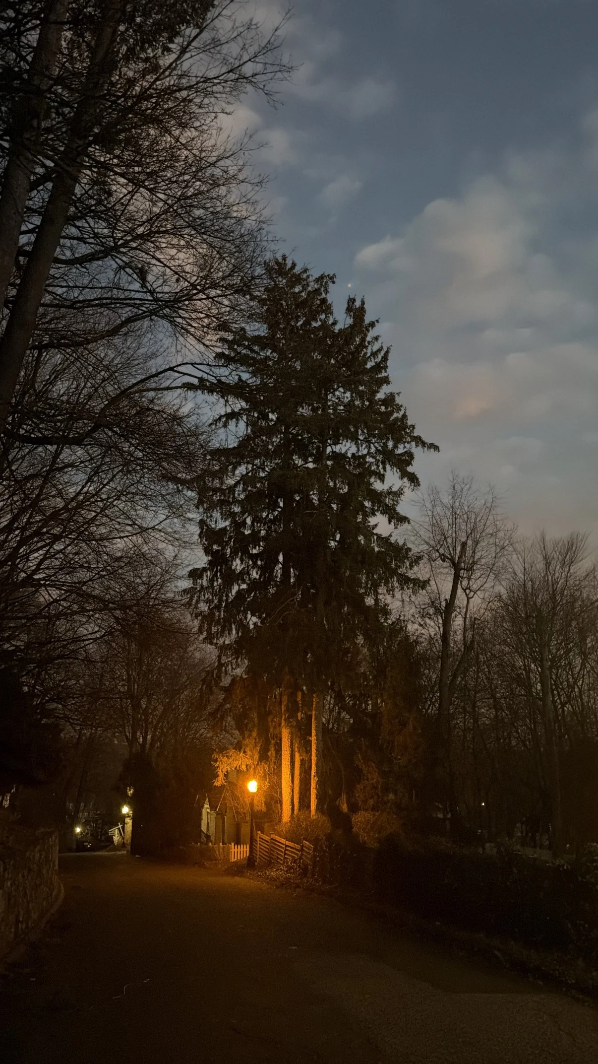 Quiet tree-lined road at dusk with warm lamplight, symbolizing the transition from day to night and healing one’s relationship with the dark
