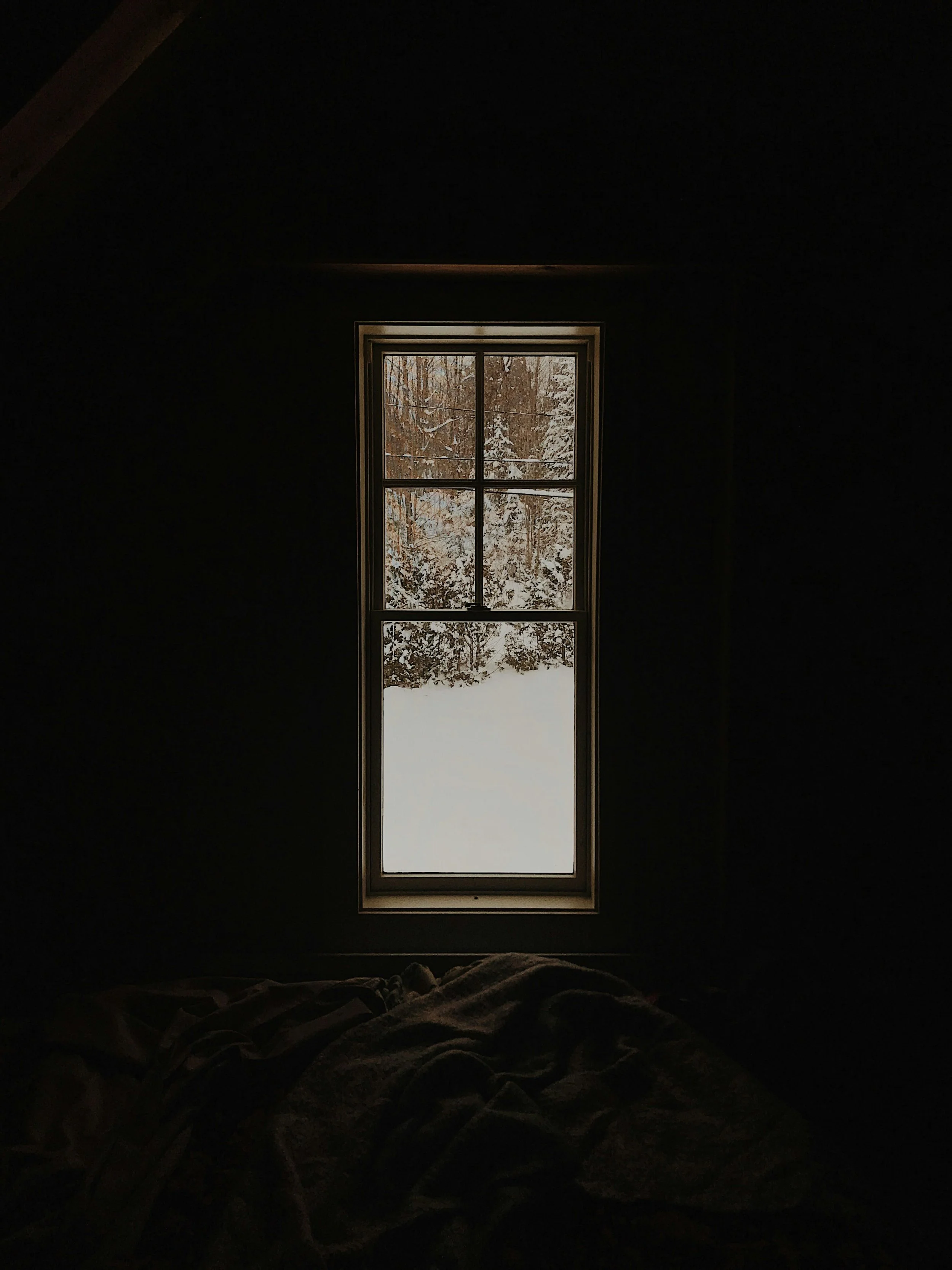 holistic therapy approach that views symptoms as nervous system intelligence