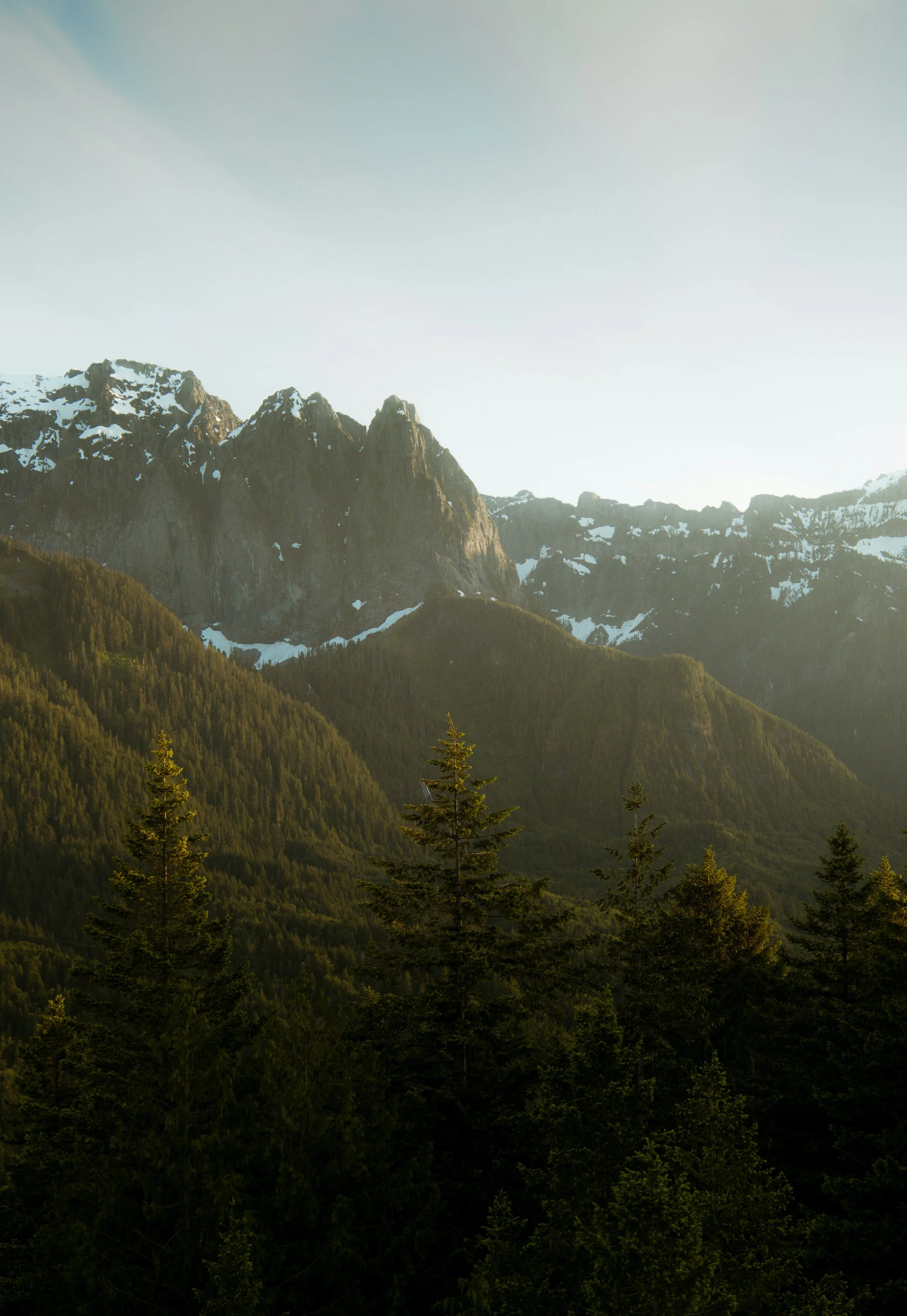 Peaceful image of nature to support nervous system regulation and stress relief