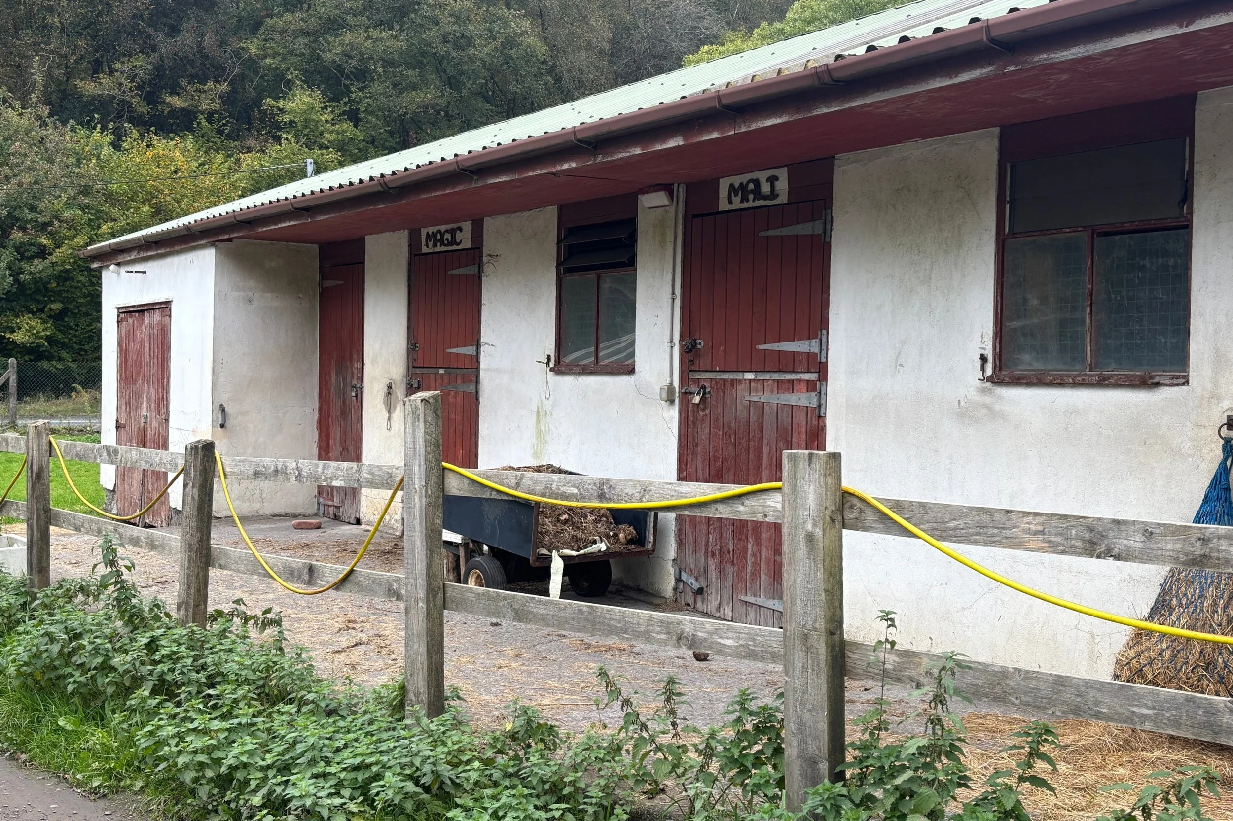 stables5.jpg