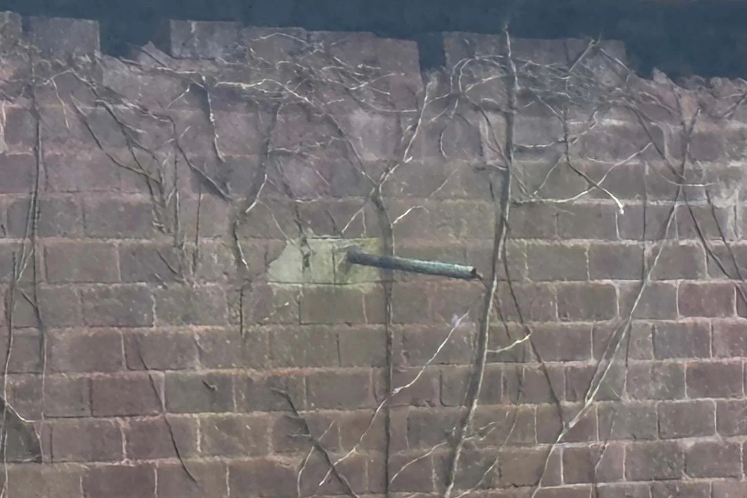 ponty-12.jpg