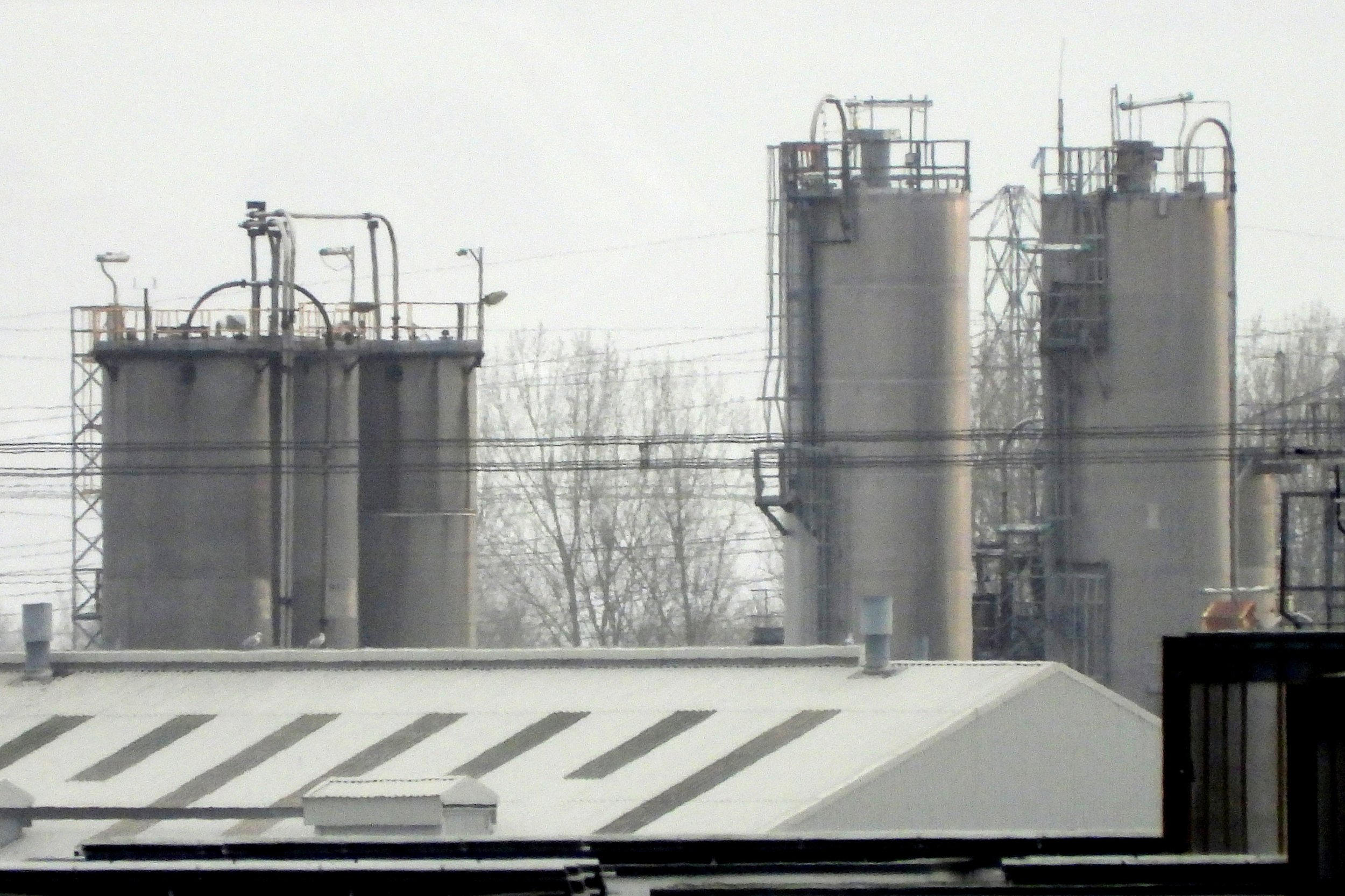 docks2.jpg