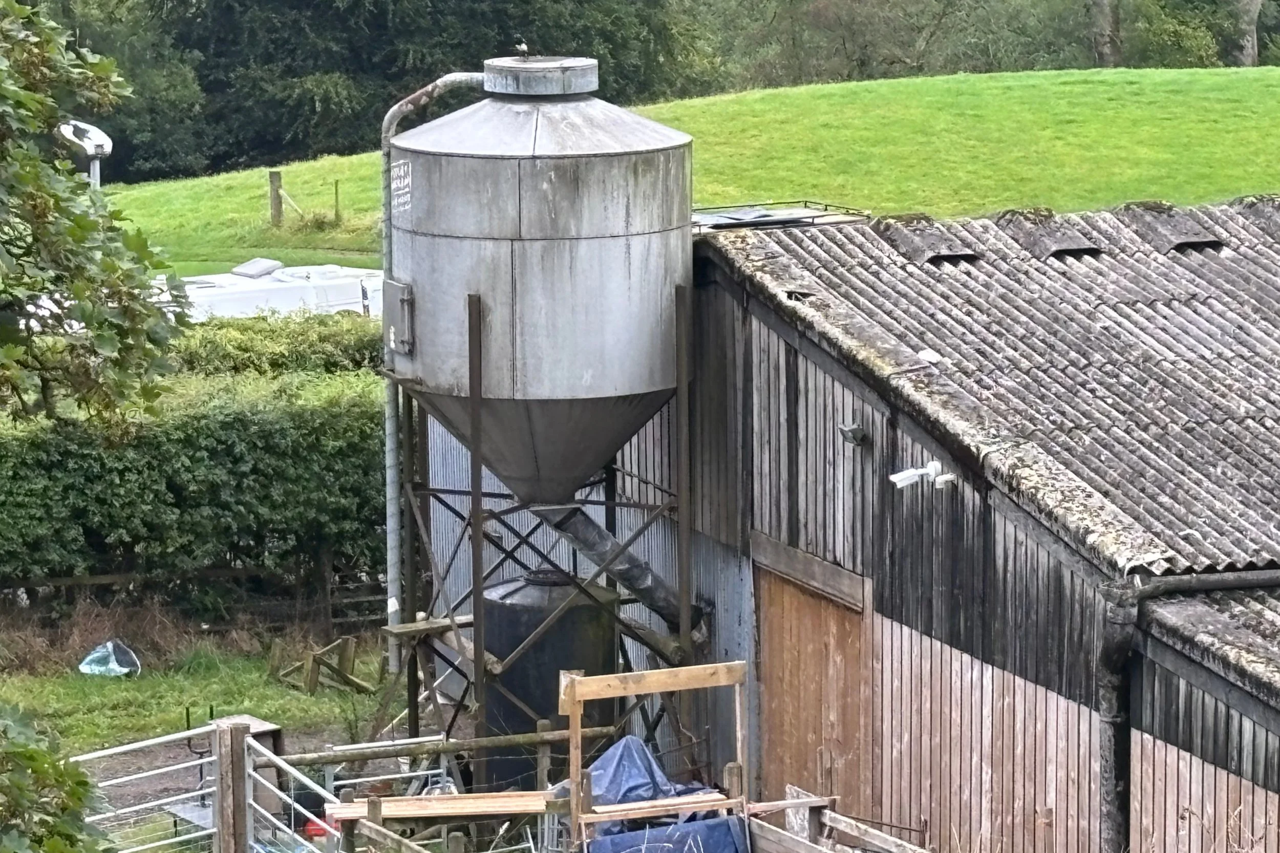 silage.jpg