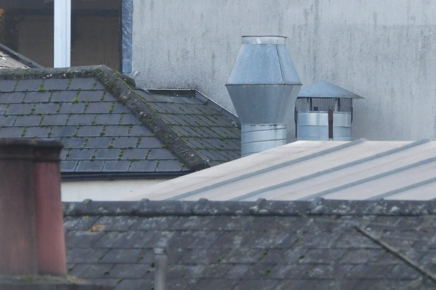 CARDIFF_77.jpg