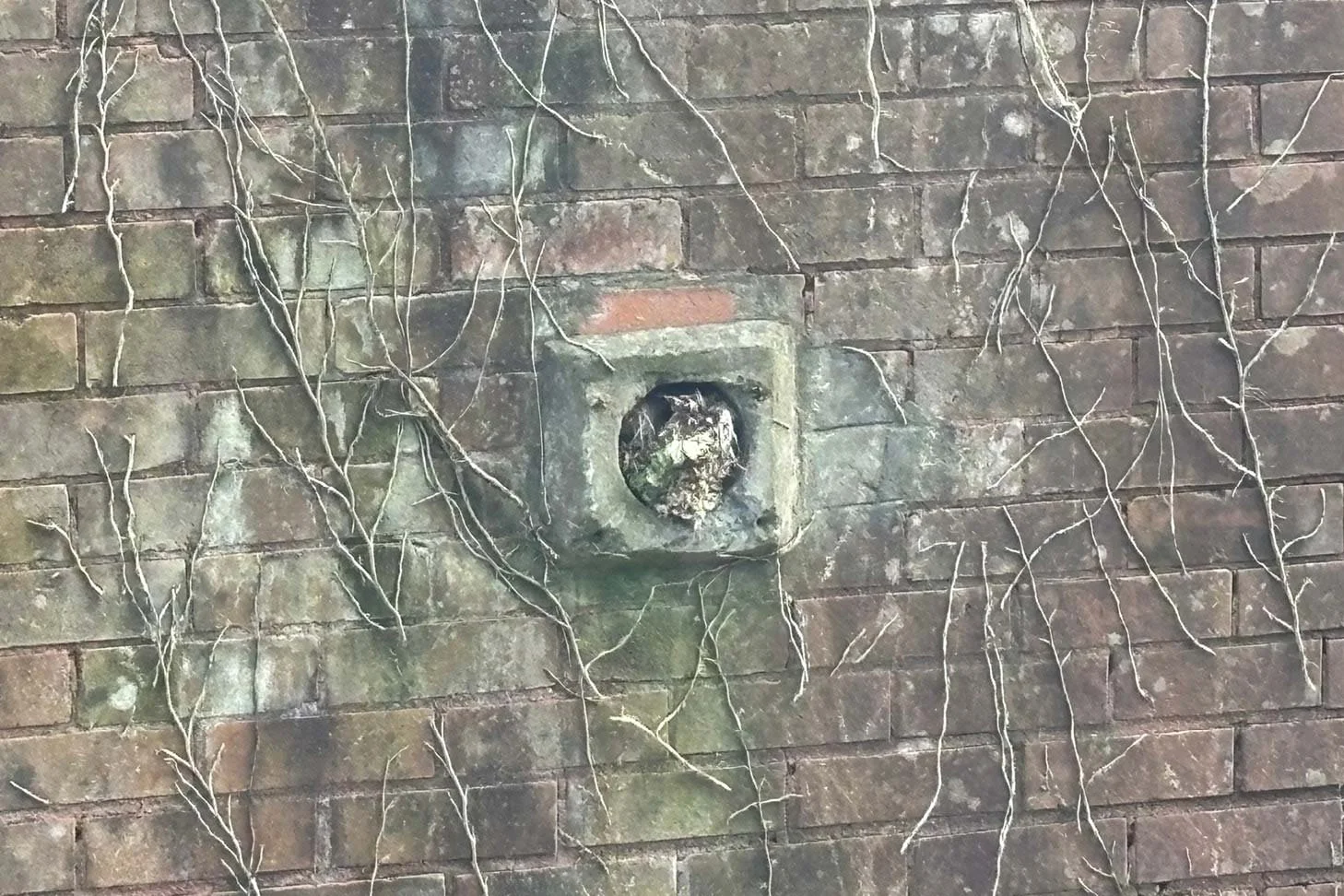 ponty-14.jpg