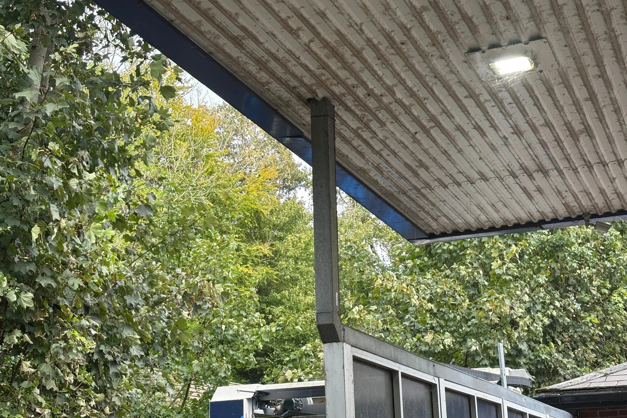 londis7.jpg