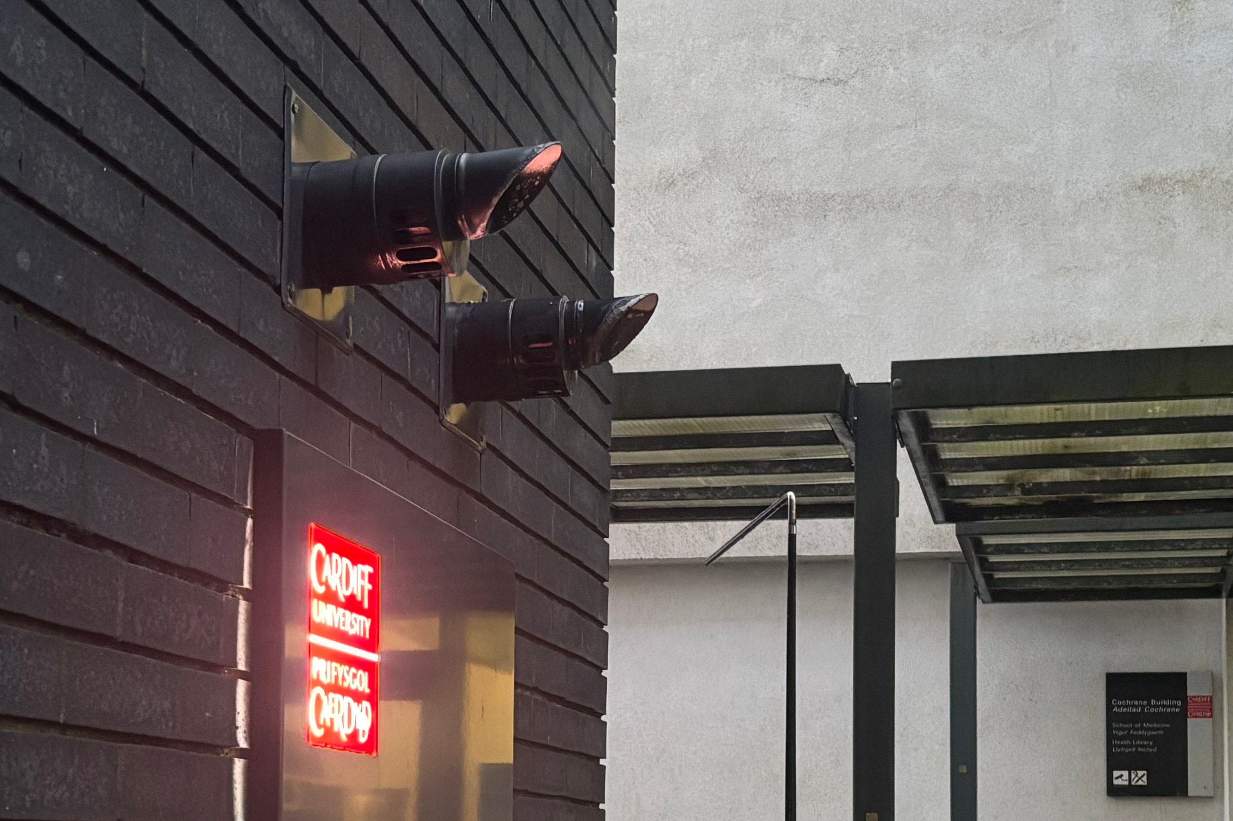 hos2.jpg