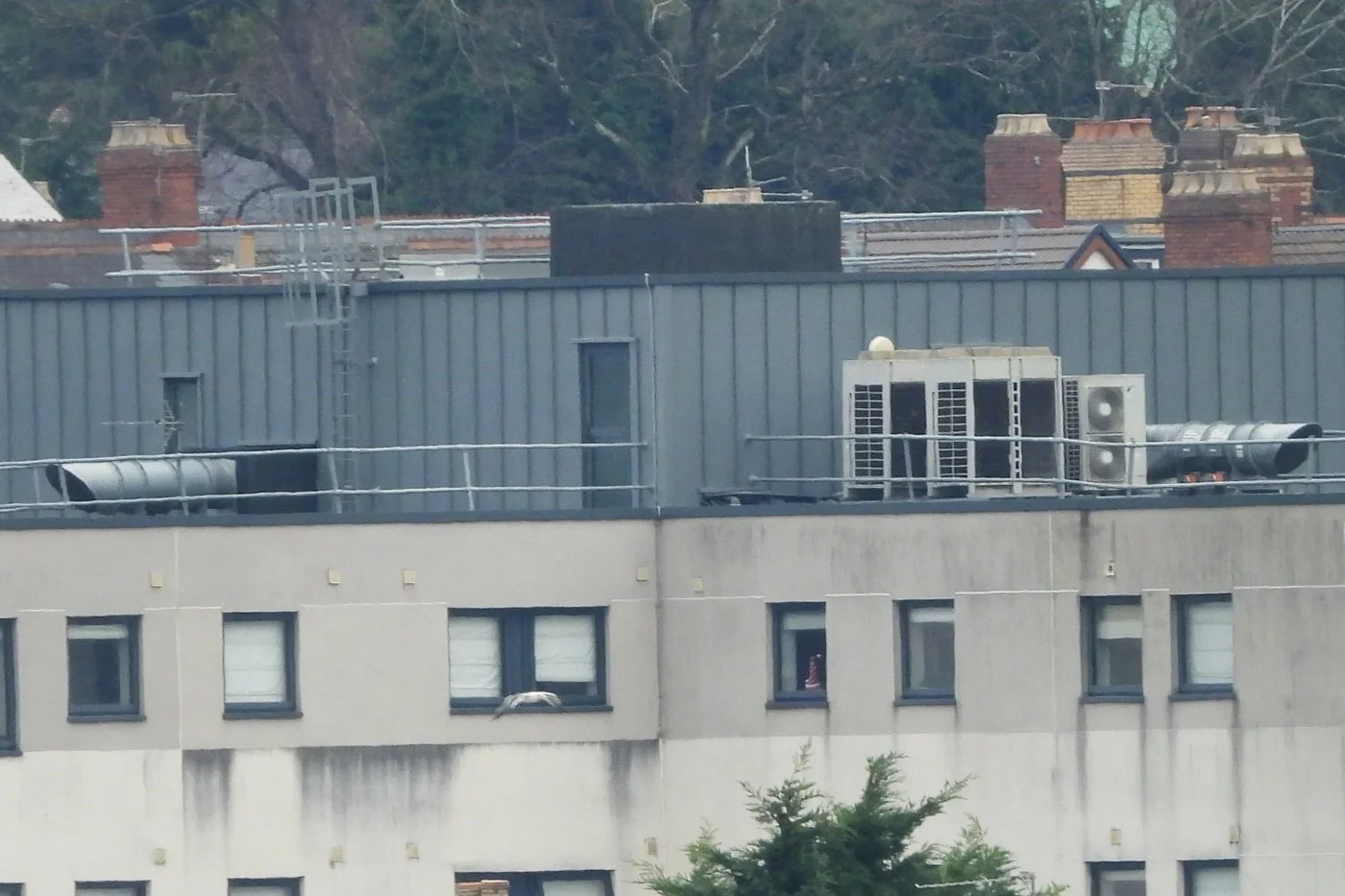 CARDIFF_109.jpg