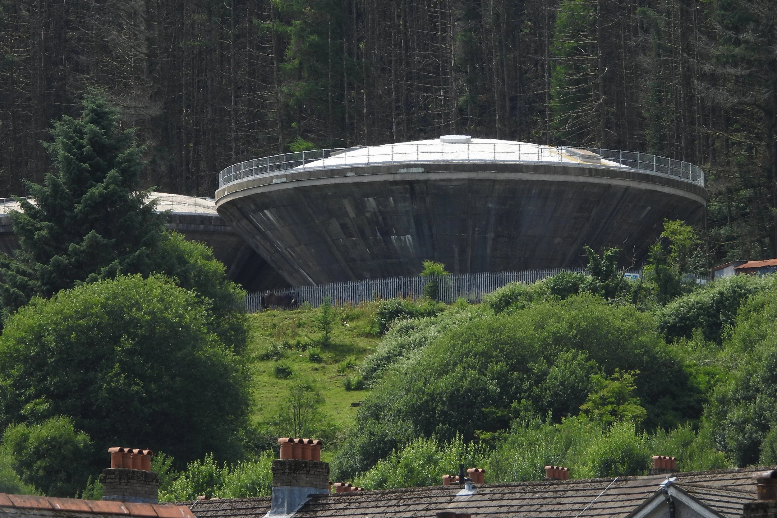 domes3.jpg