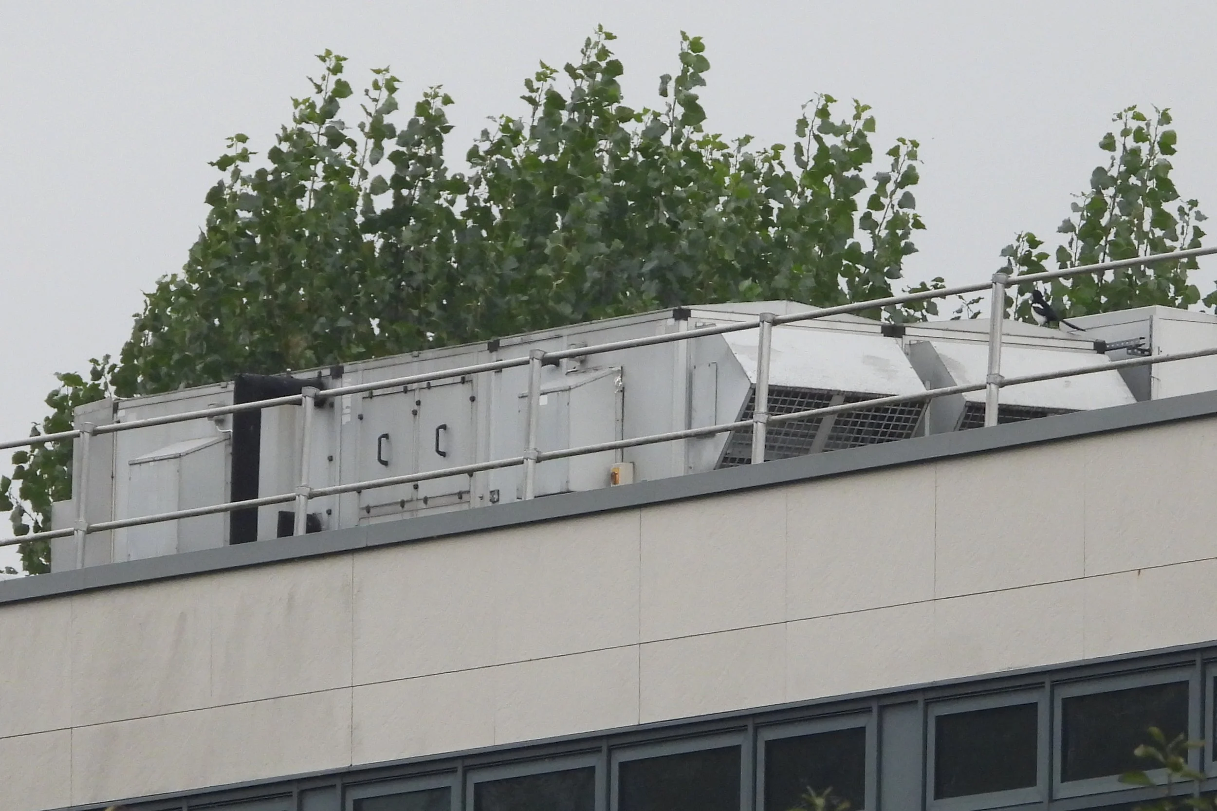 merthyrcollege.jpg