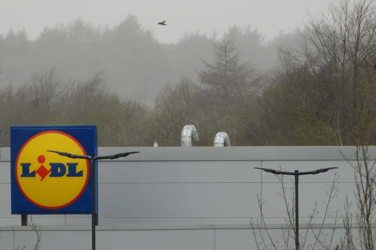 lidl.jpg