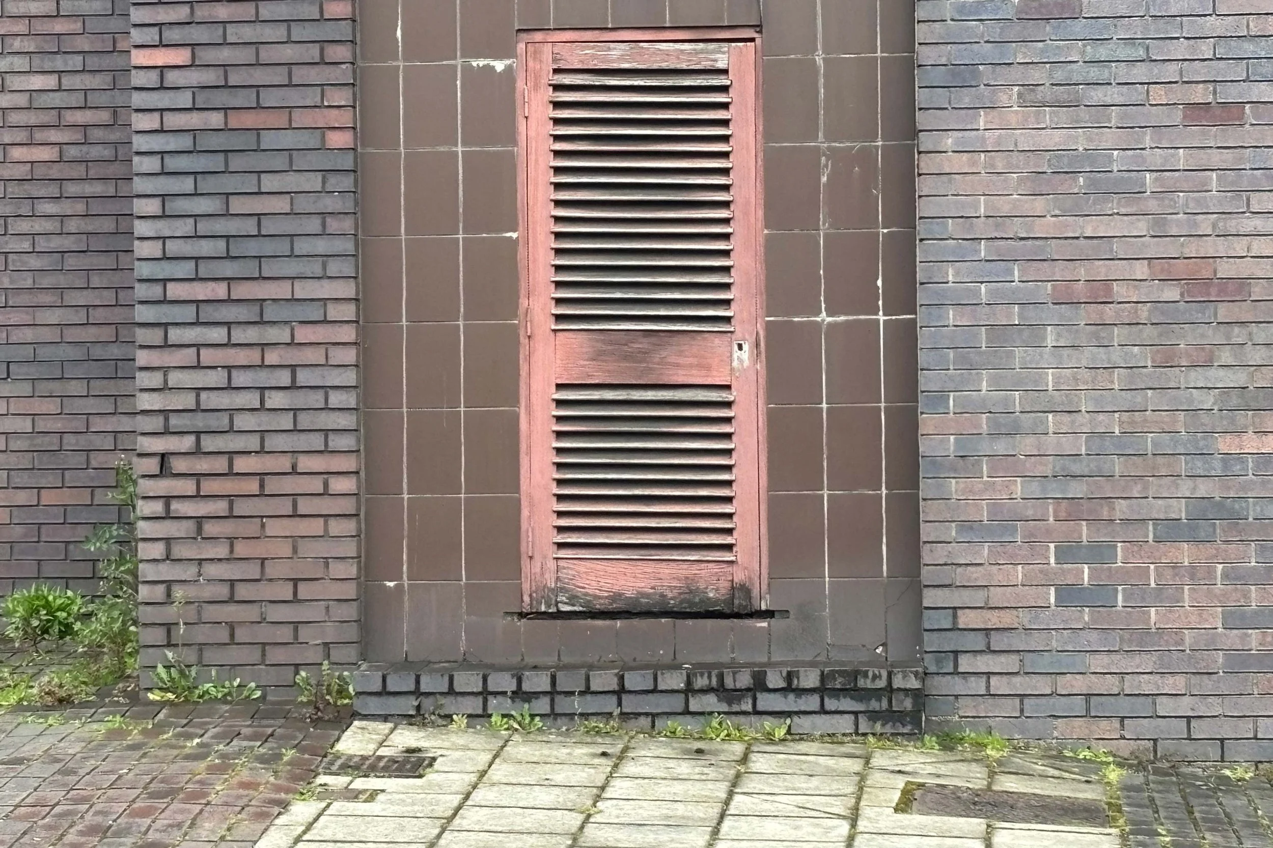 swp-1139-116425.jpg
