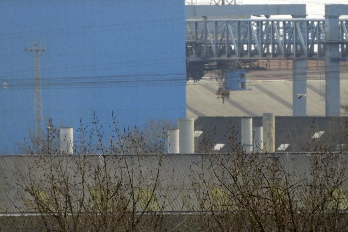 Newport docks_8.jpg