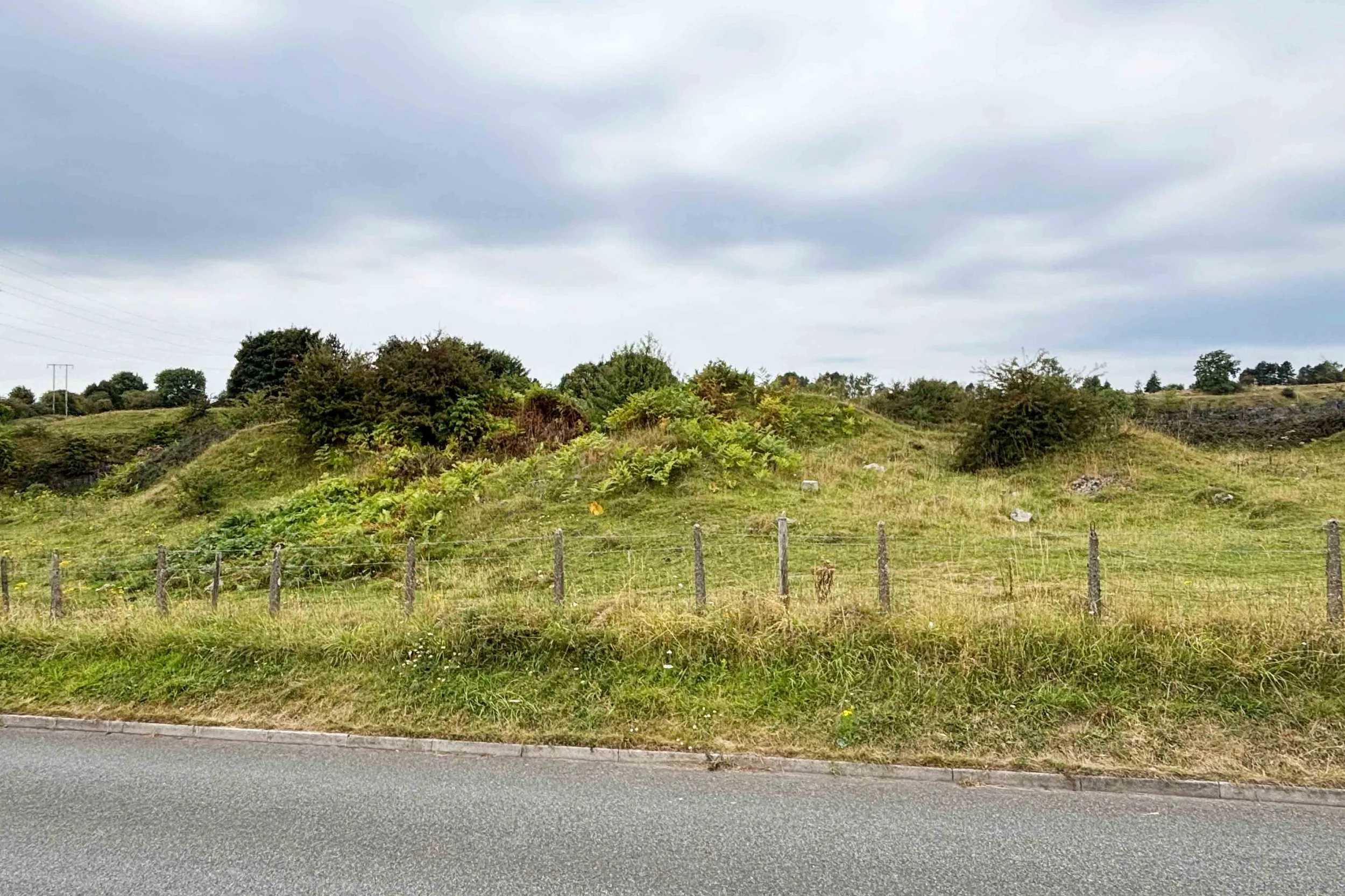 brec-moun4.jpg