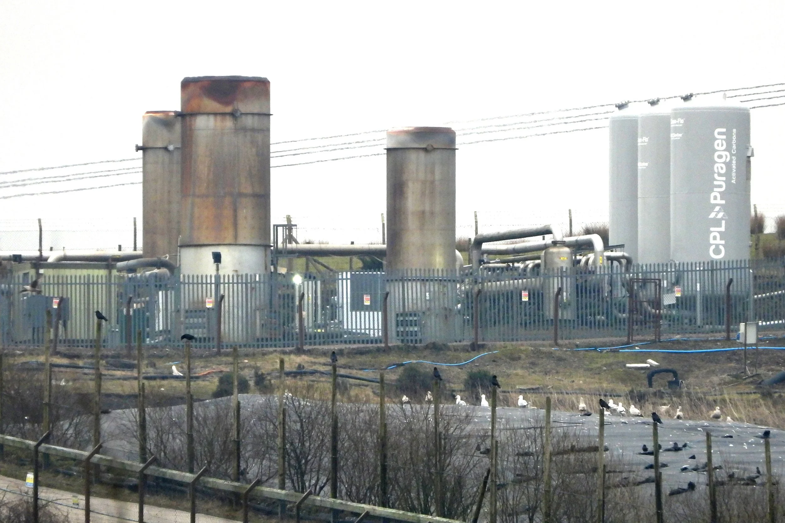 fochre2.jpg