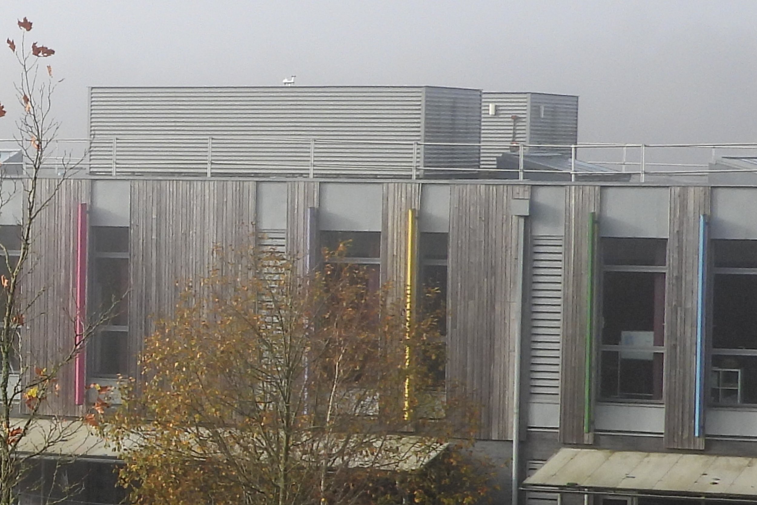 cwm116-1213.jpg