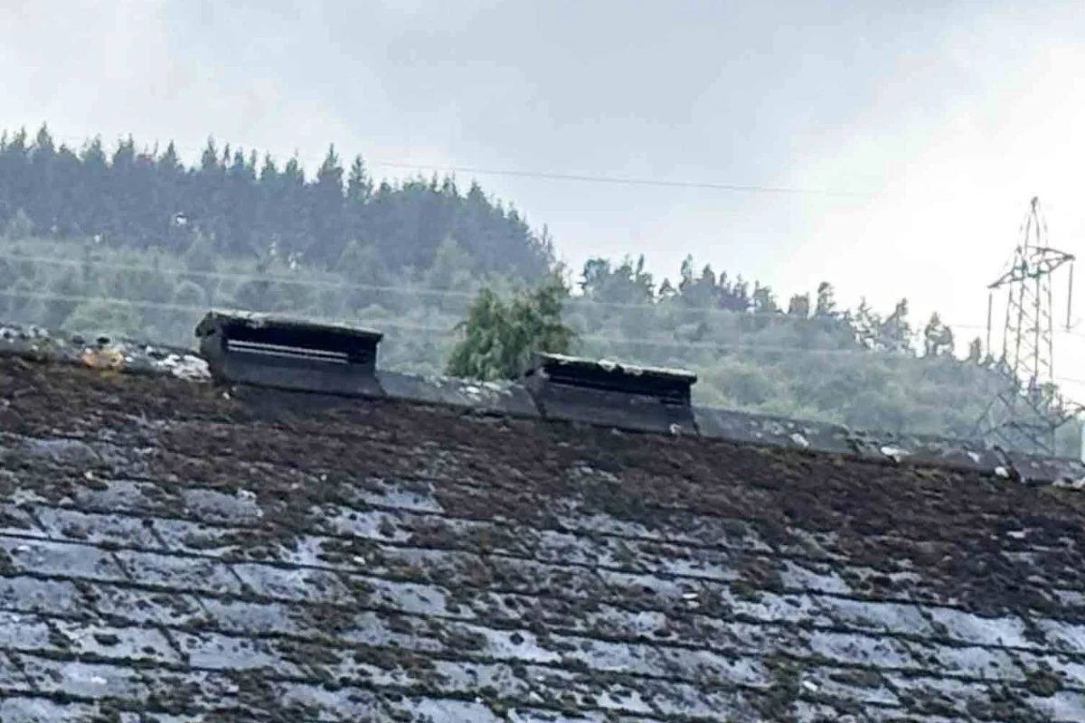 Abercanaid_59.jpg