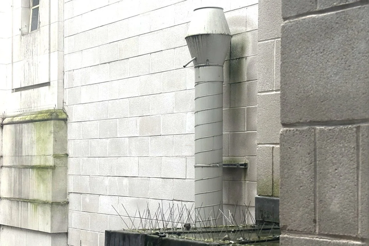 nat-museum-wales-_12.jpg