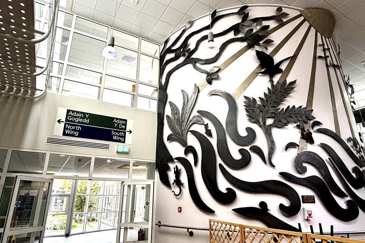 Royal glamorgan hospital_37.jpg