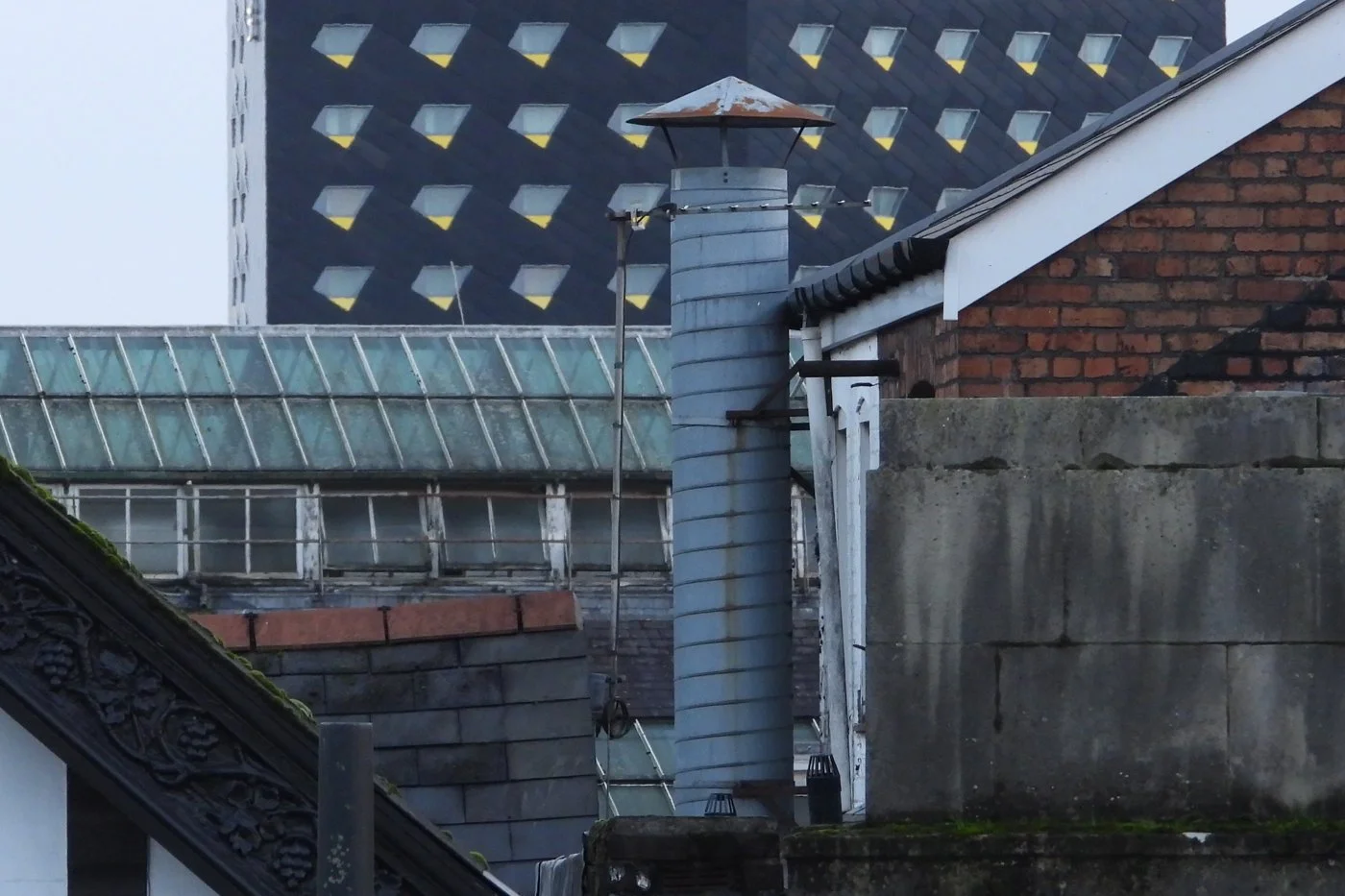 CARDIFF_76.jpg