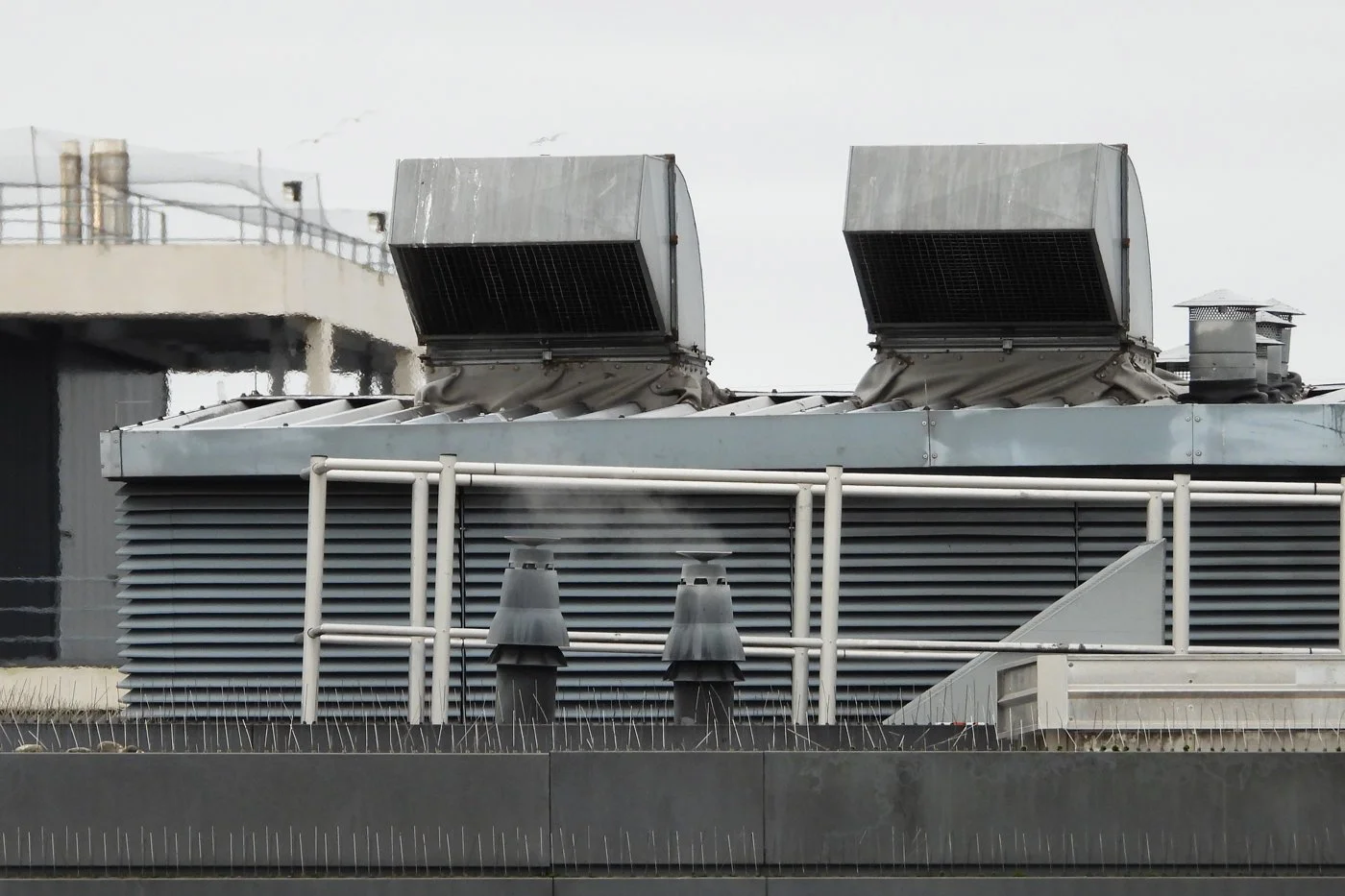 CARDIFF_145.jpg