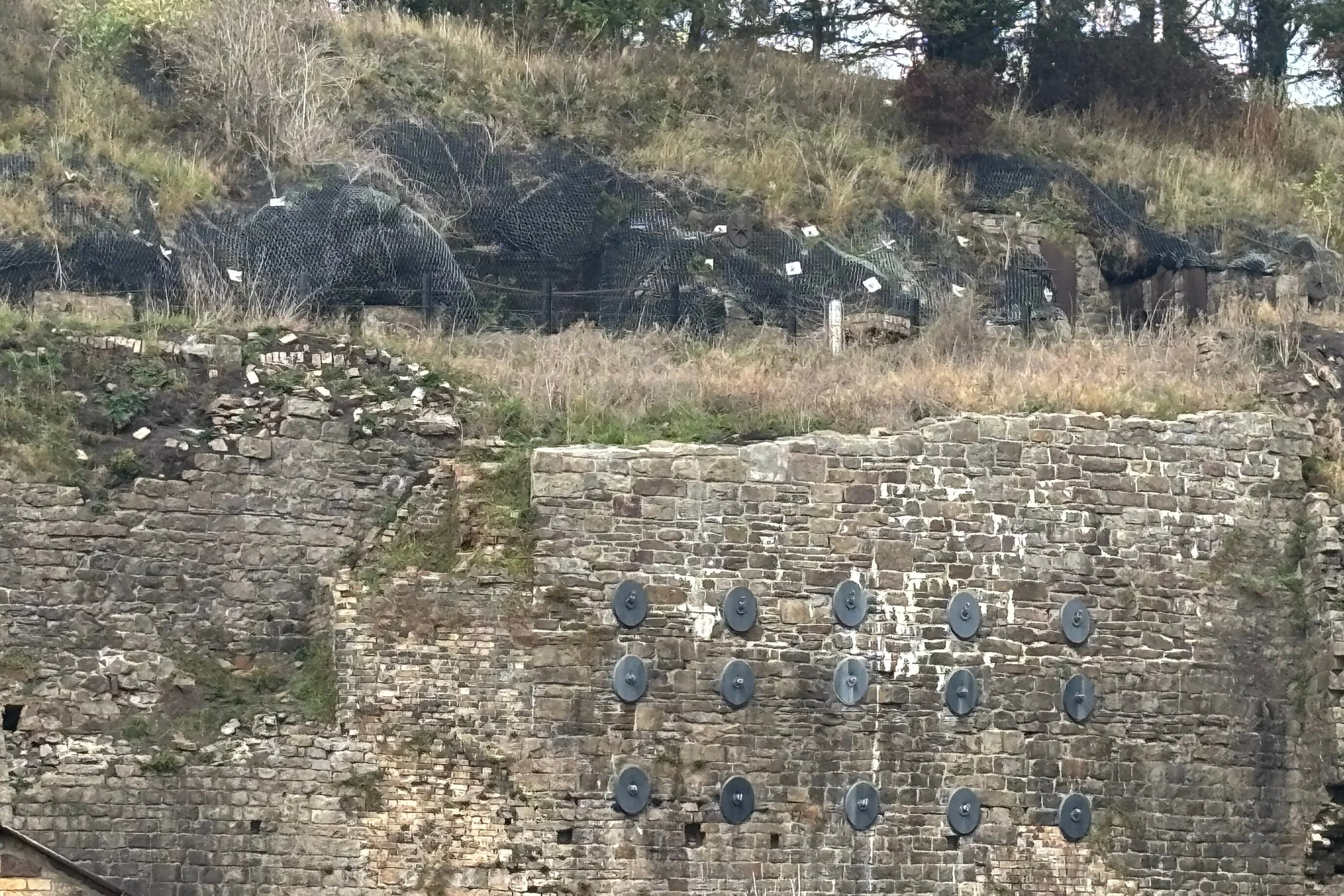 BLAEN19.jpg