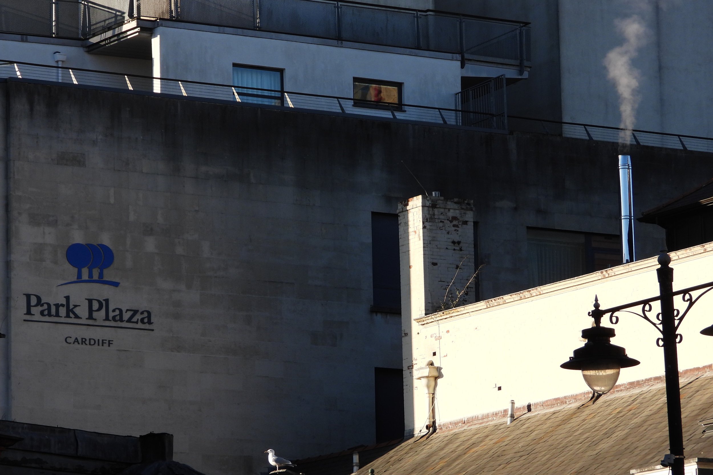 446-453.jpg
