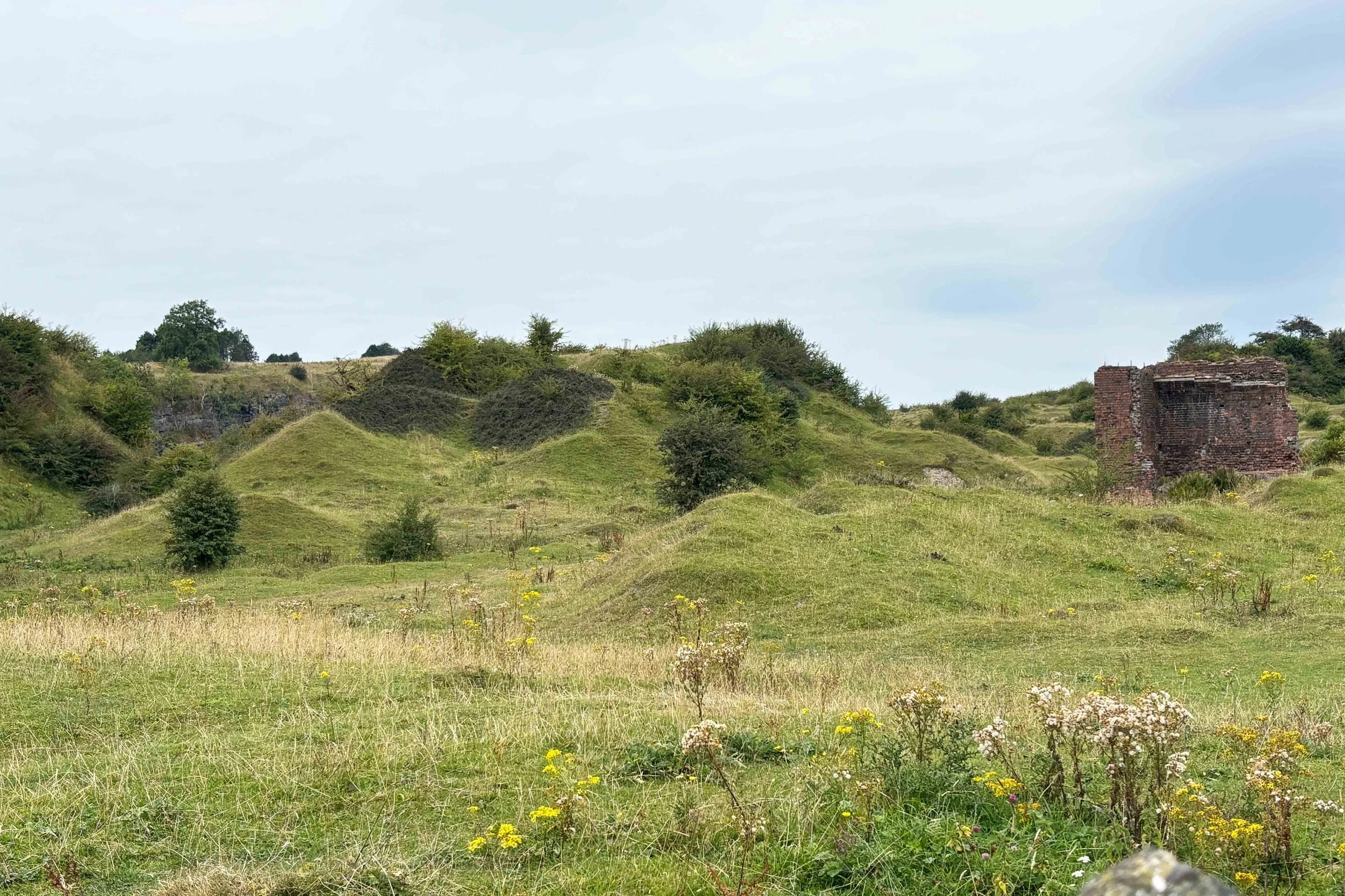 brec-moun19.jpg