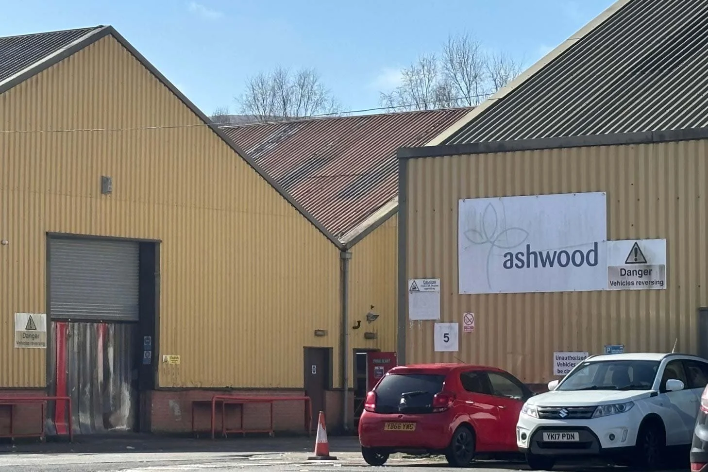 ASHWOOD-.jpg