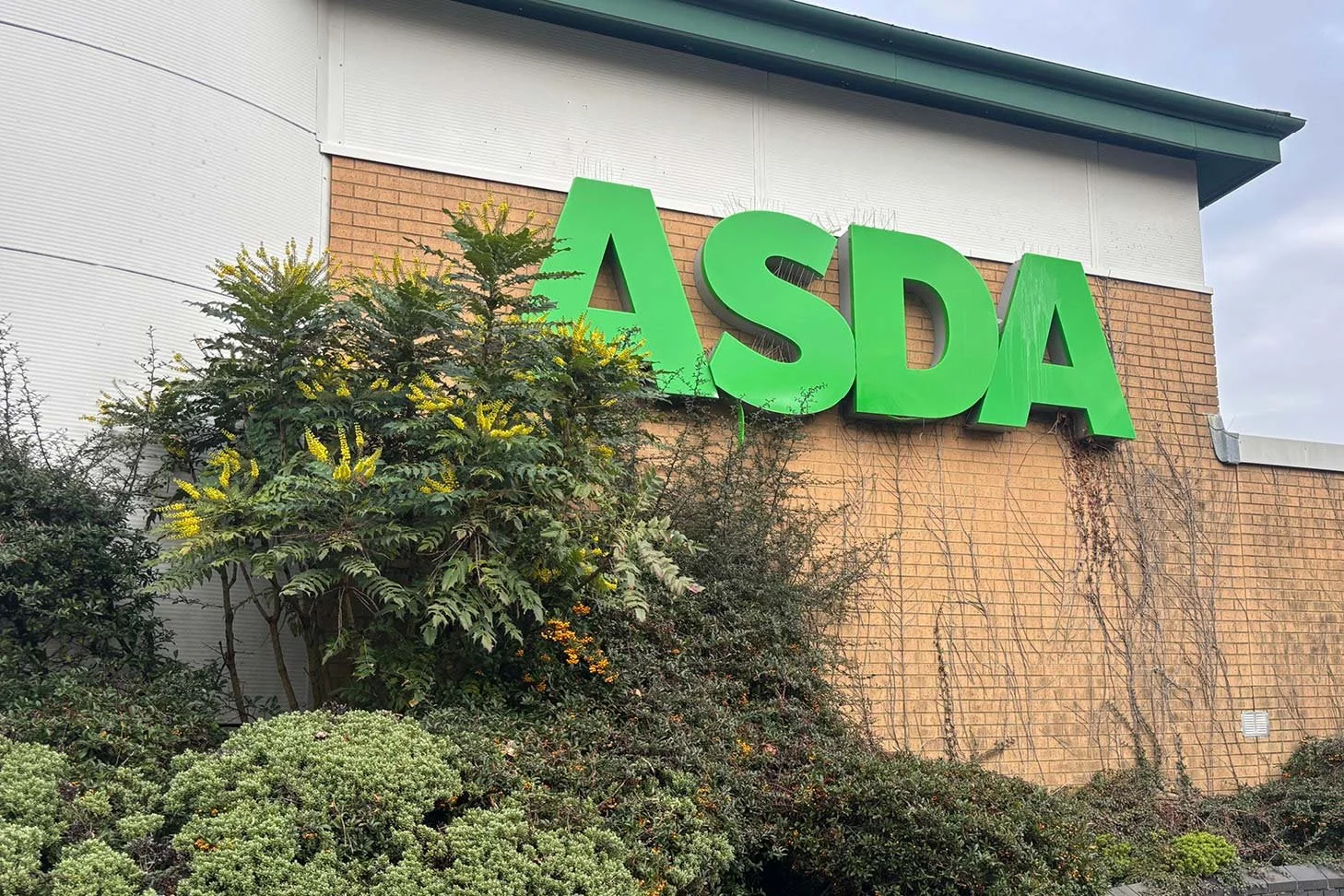 asda19.jpg