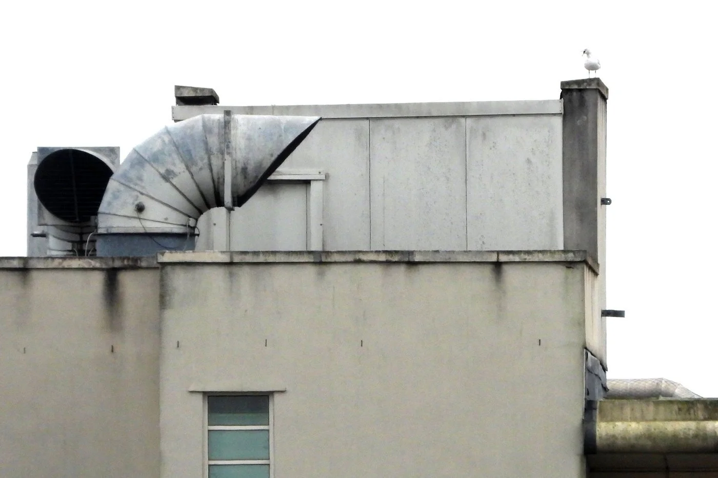 CARDIFF_115.jpg